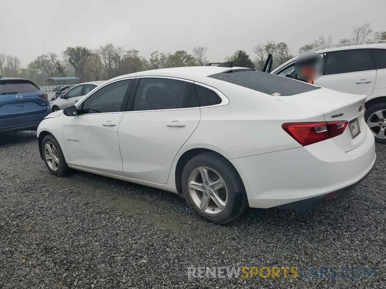 2 Photograph of a damaged car 1G1ZC5ST8KF182834 CHEVROLET MALIBU 2019