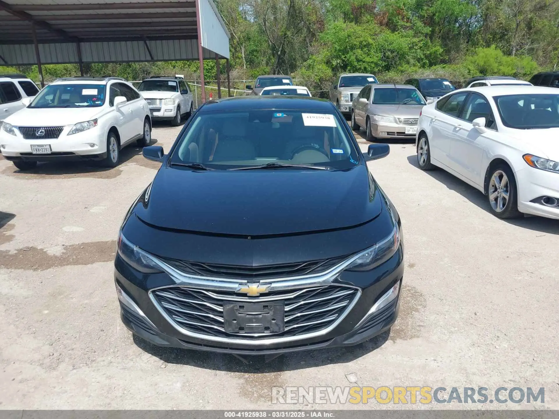 12 Photograph of a damaged car 1G1ZC5ST9KF211953 CHEVROLET MALIBU 2019