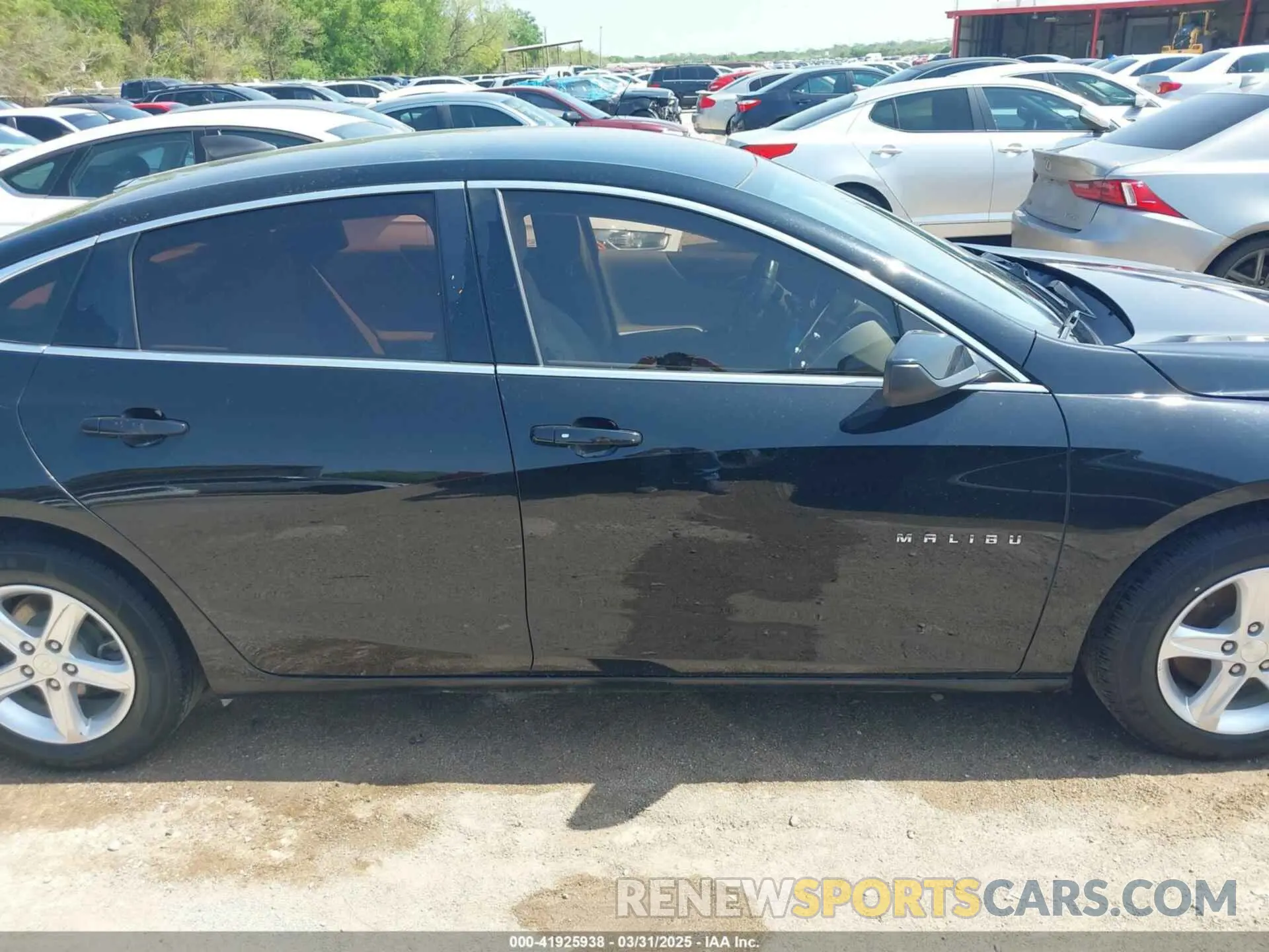 13 Photograph of a damaged car 1G1ZC5ST9KF211953 CHEVROLET MALIBU 2019