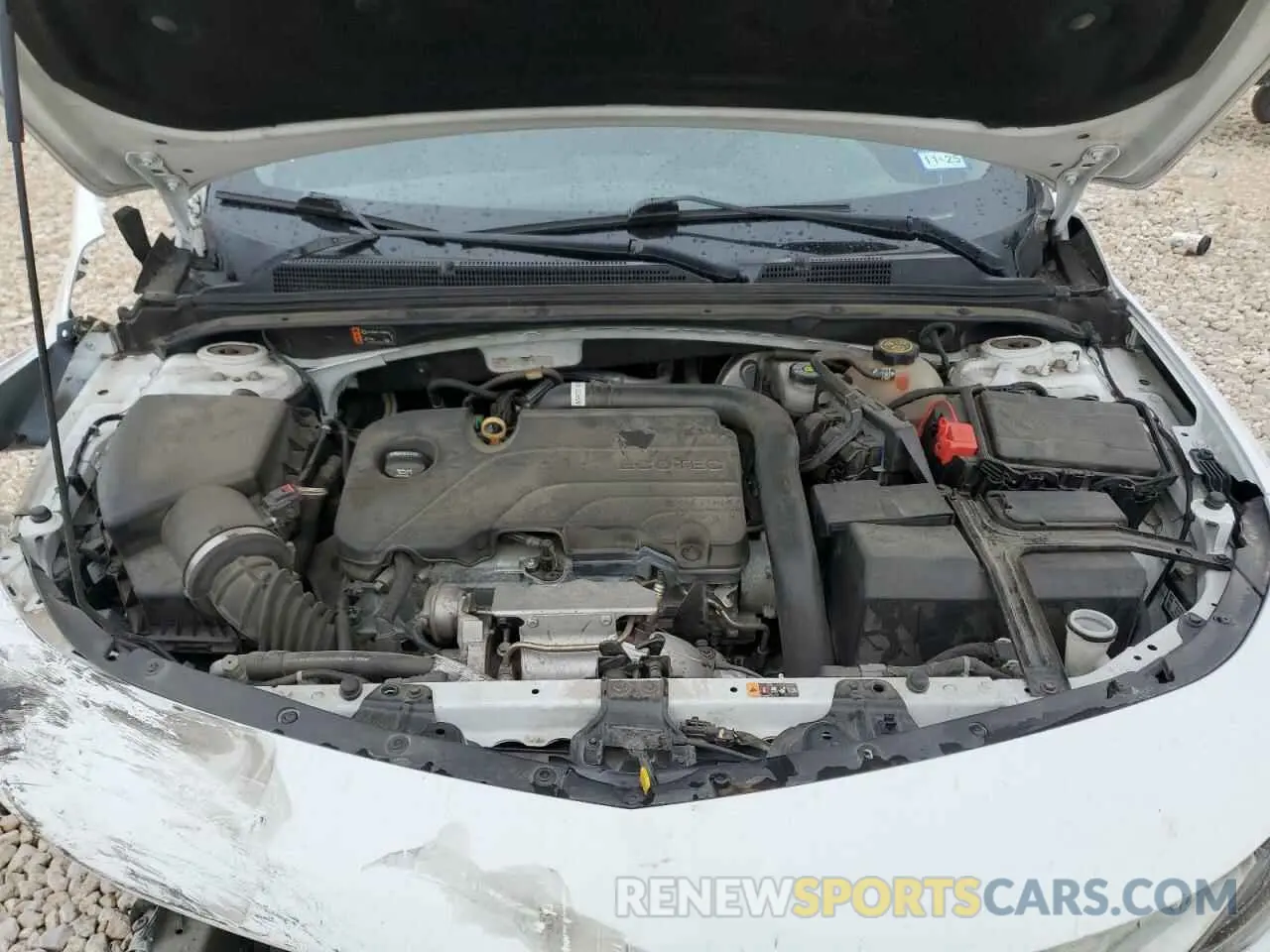 12 Photograph of a damaged car 1G1ZD5ST1KF133617 CHEVROLET MALIBU 2019