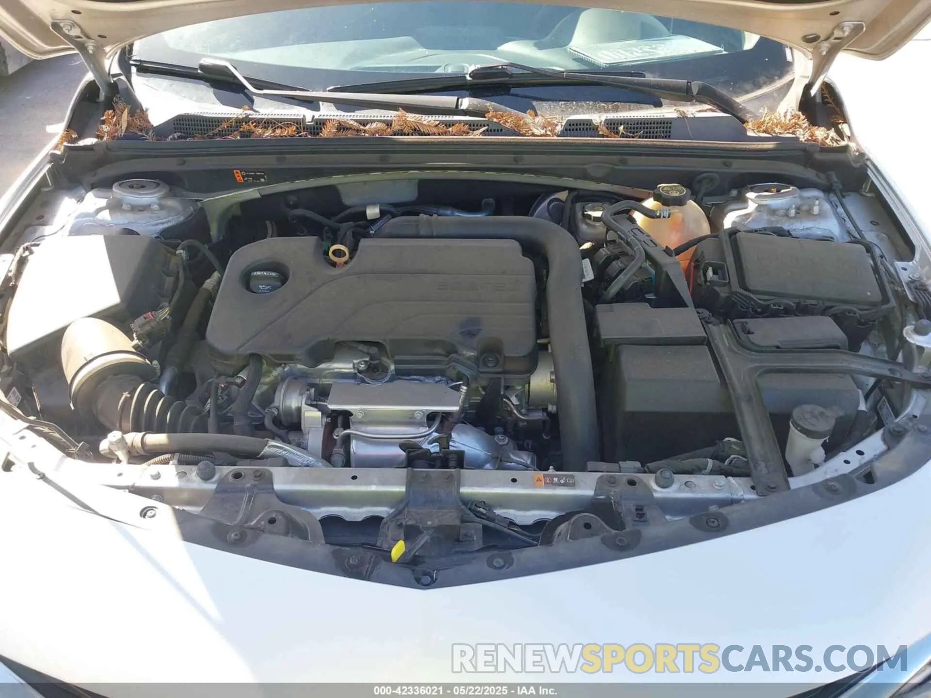 10 Photograph of a damaged car 1G1ZD5ST3KF108802 CHEVROLET MALIBU 2019