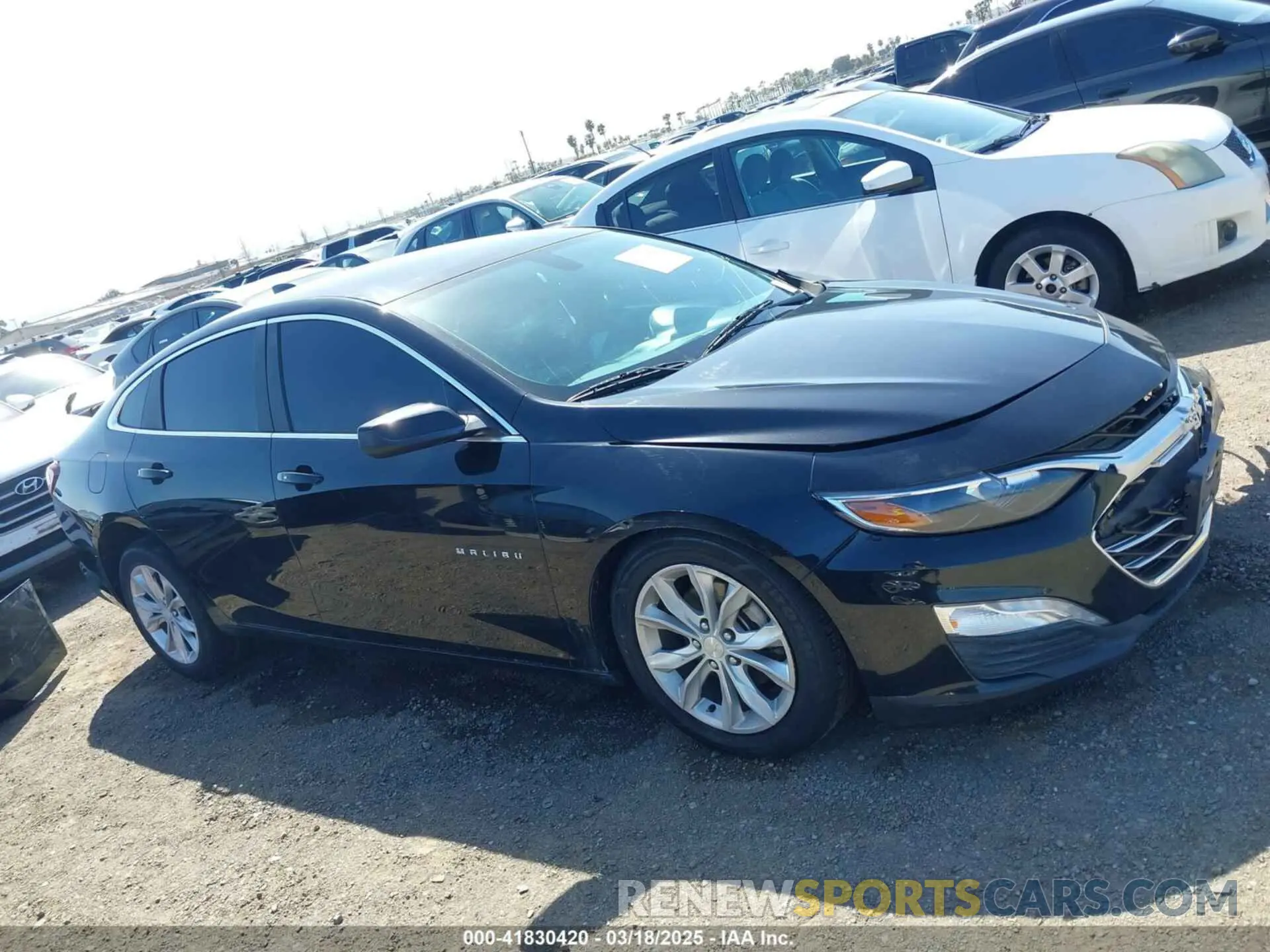 13 Photograph of a damaged car 1G1ZD5ST3KF114616 CHEVROLET MALIBU 2019