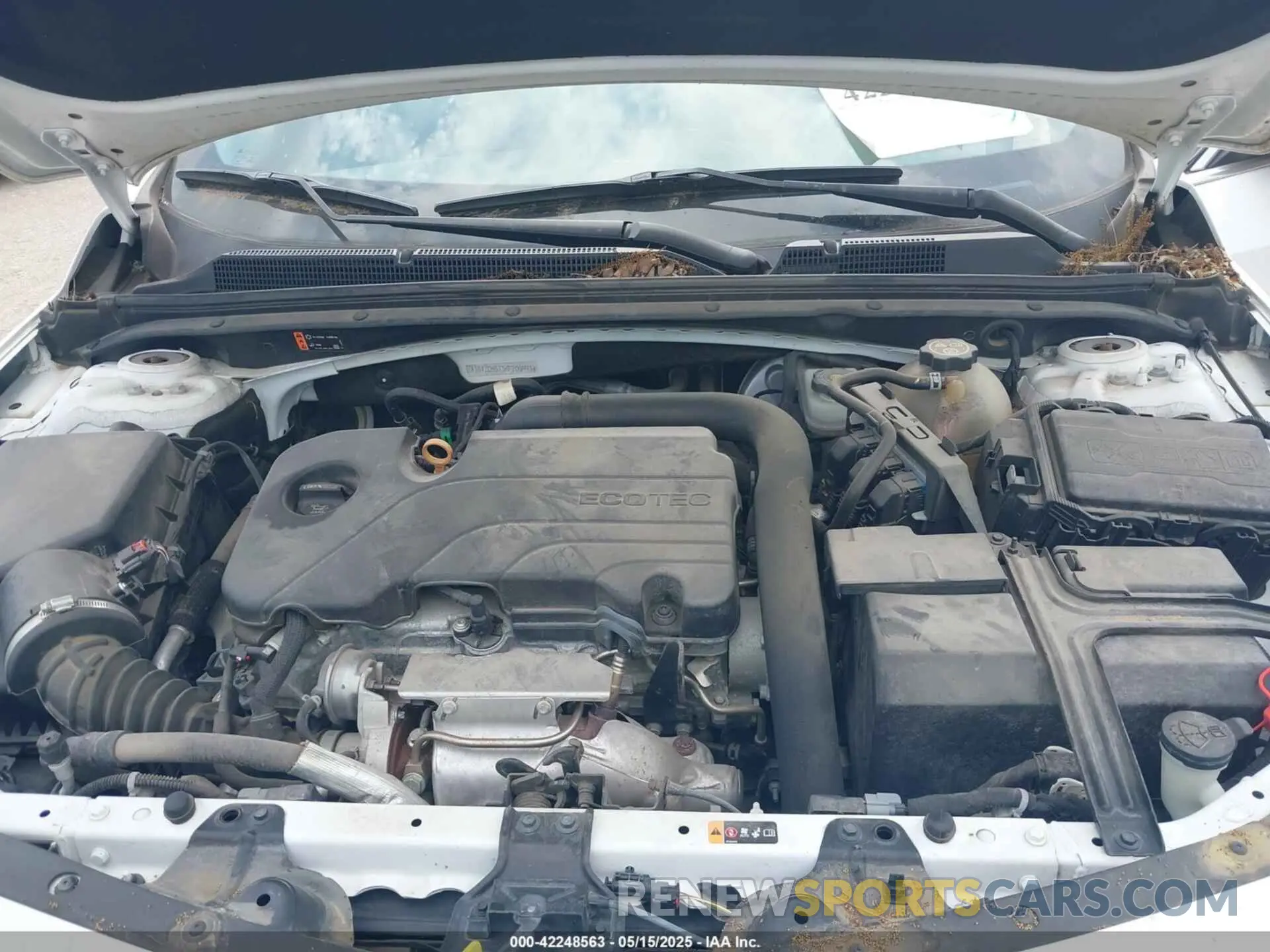 10 Photograph of a damaged car 1G1ZD5ST3KF200993 CHEVROLET MALIBU 2019