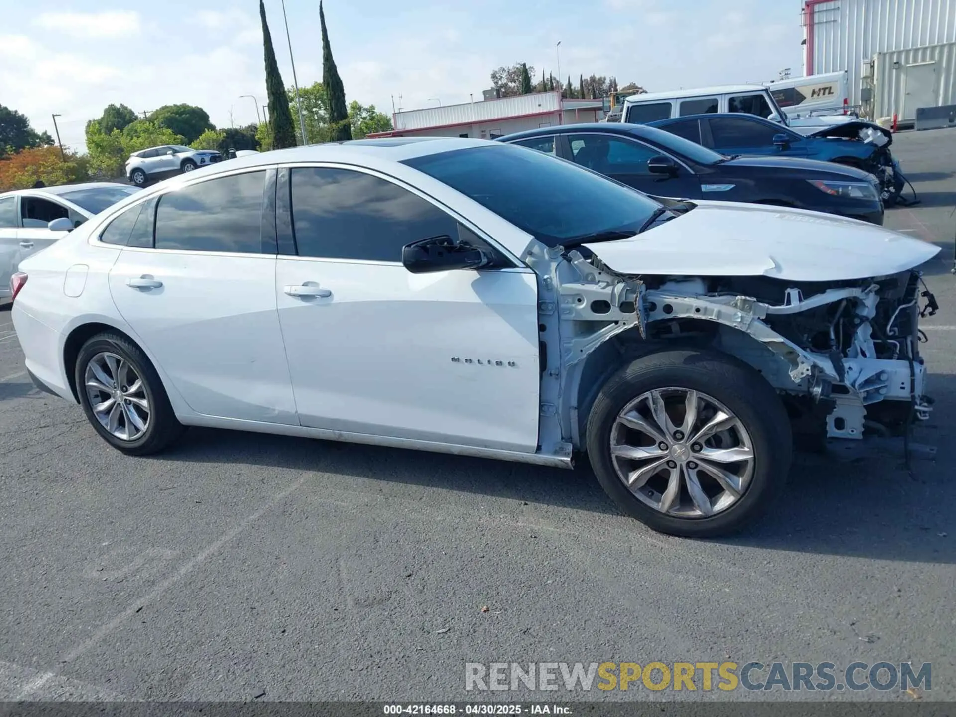 14 Photograph of a damaged car 1G1ZD5ST5KF112091 CHEVROLET MALIBU 2019
