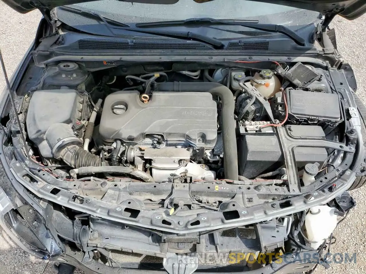 11 Photograph of a damaged car 1G1ZD5ST5KF166359 CHEVROLET MALIBU 2019