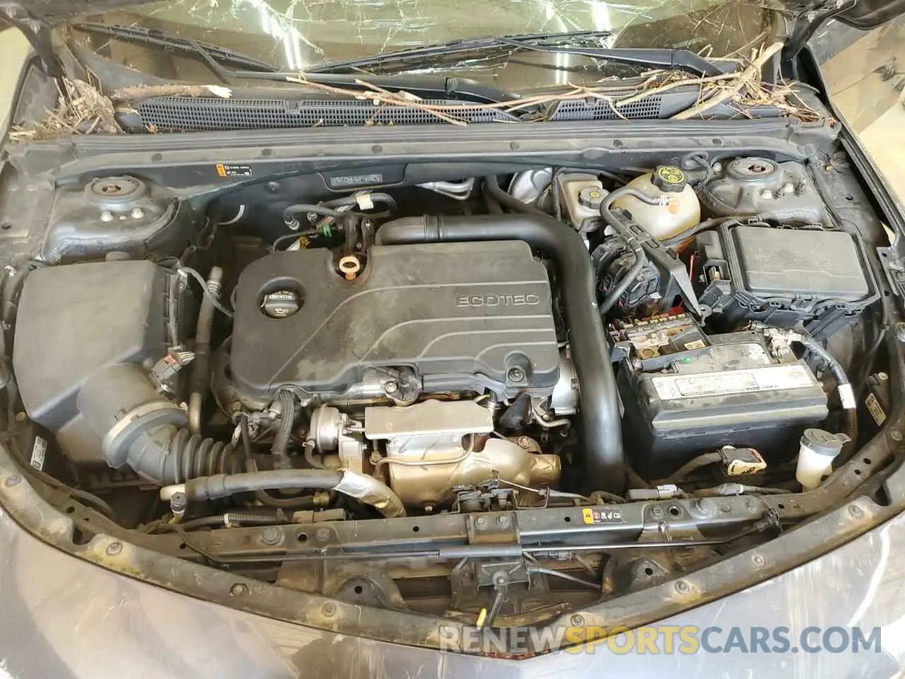 11 Photograph of a damaged car 1G1ZD5ST6KF160067 CHEVROLET MALIBU 2019