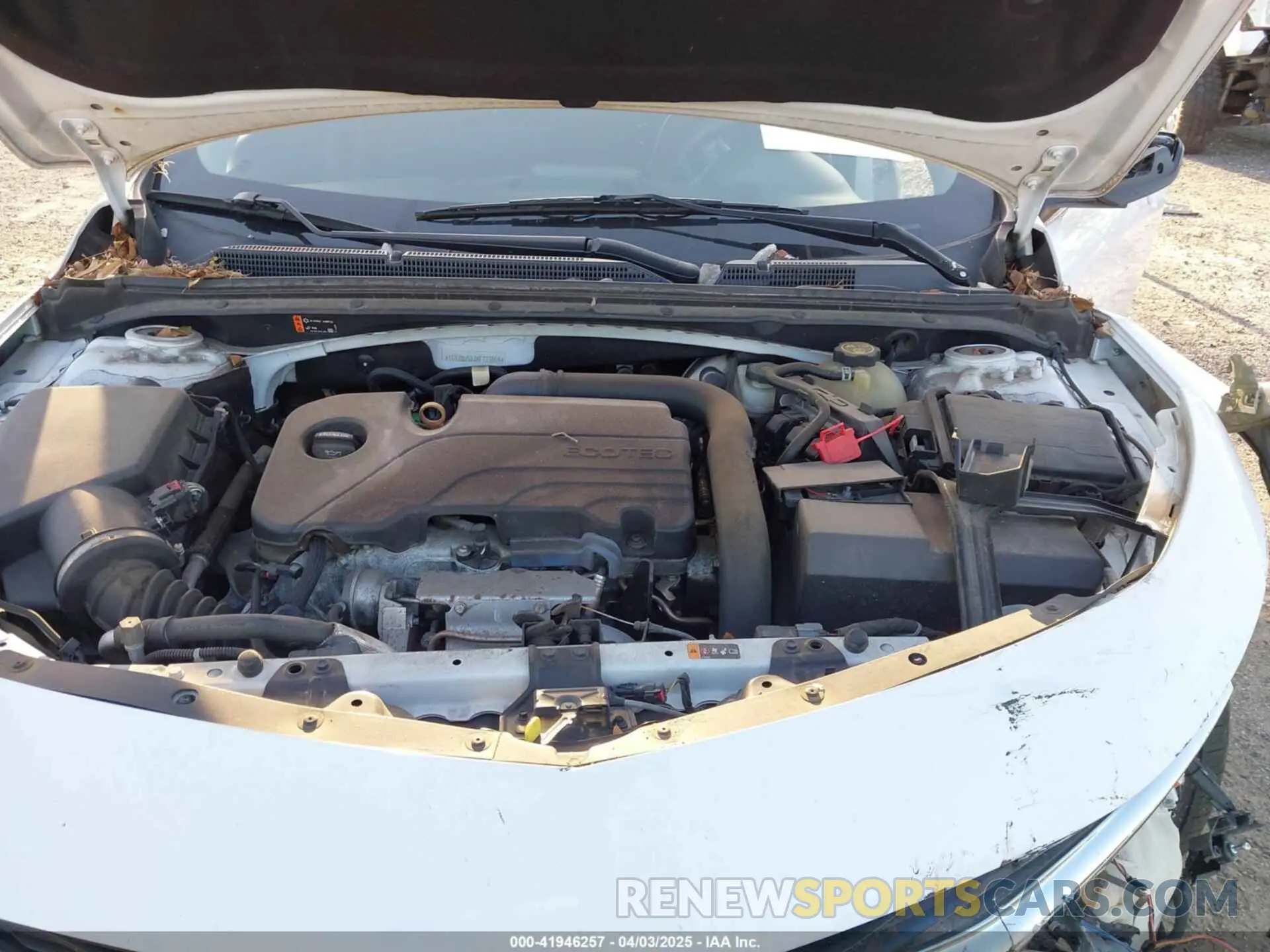 10 Photograph of a damaged car 1G1ZD5ST7KF121004 CHEVROLET MALIBU 2019