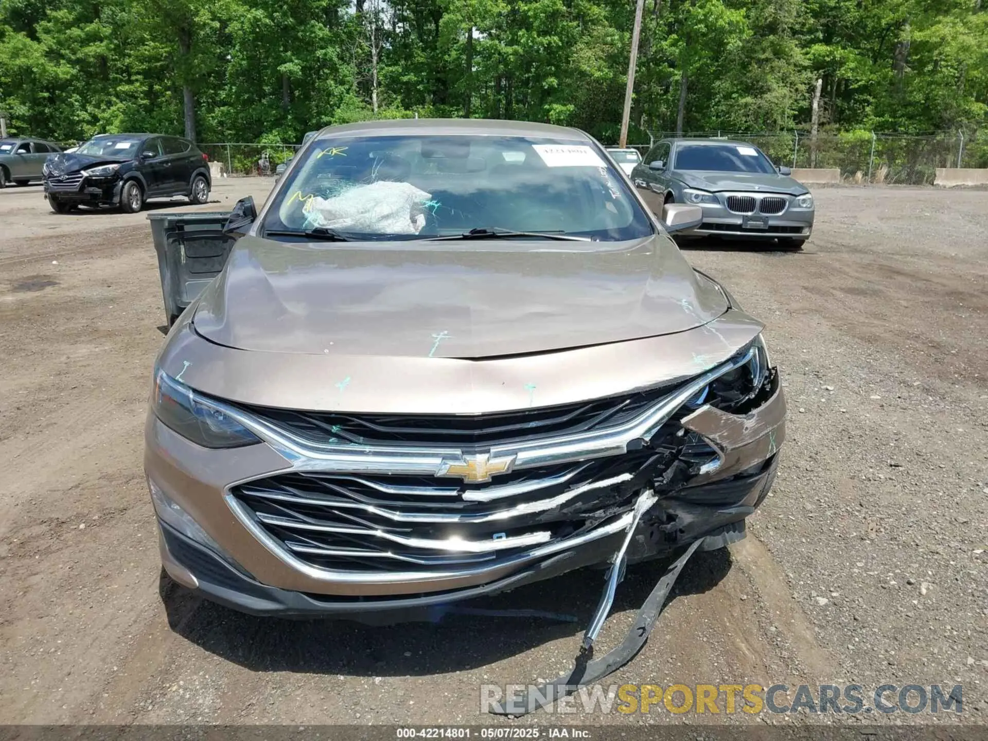 12 Photograph of a damaged car 1G1ZD5ST9KF113468 CHEVROLET MALIBU 2019