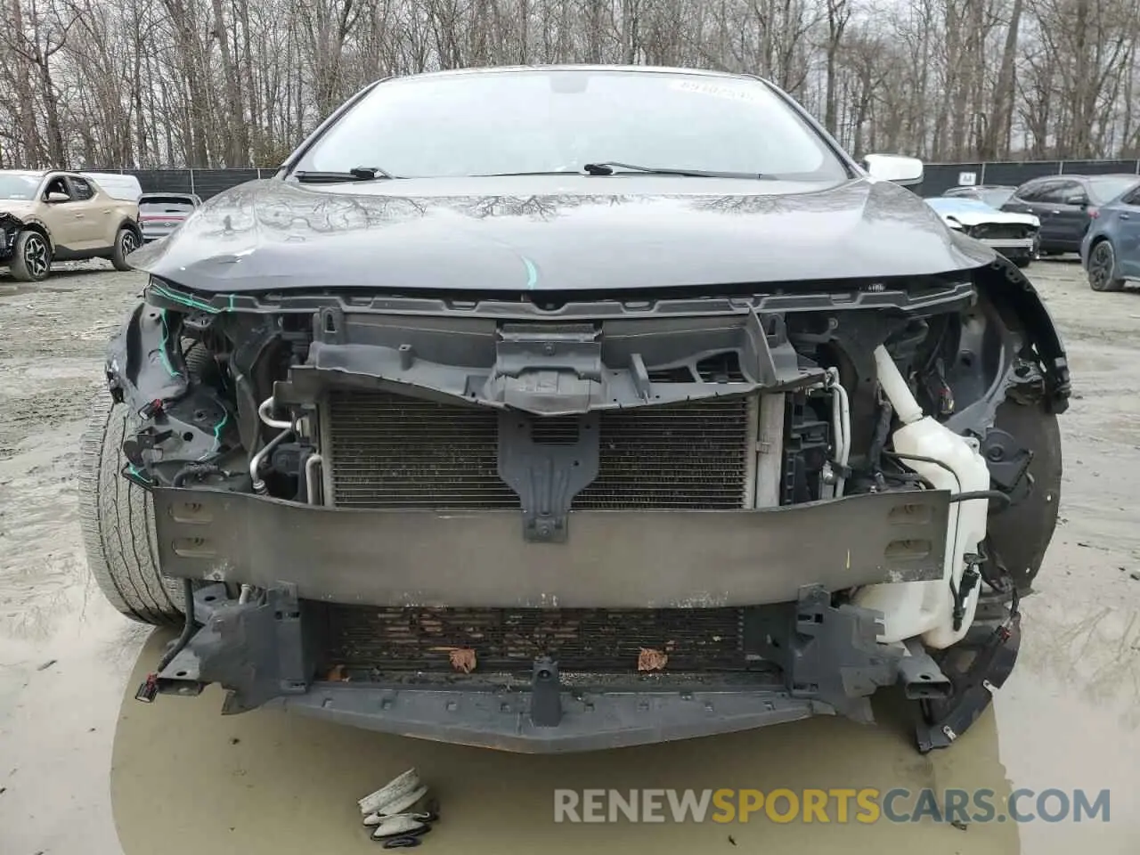 5 Photograph of a damaged car 1G1ZD5ST9KF148527 CHEVROLET MALIBU 2019