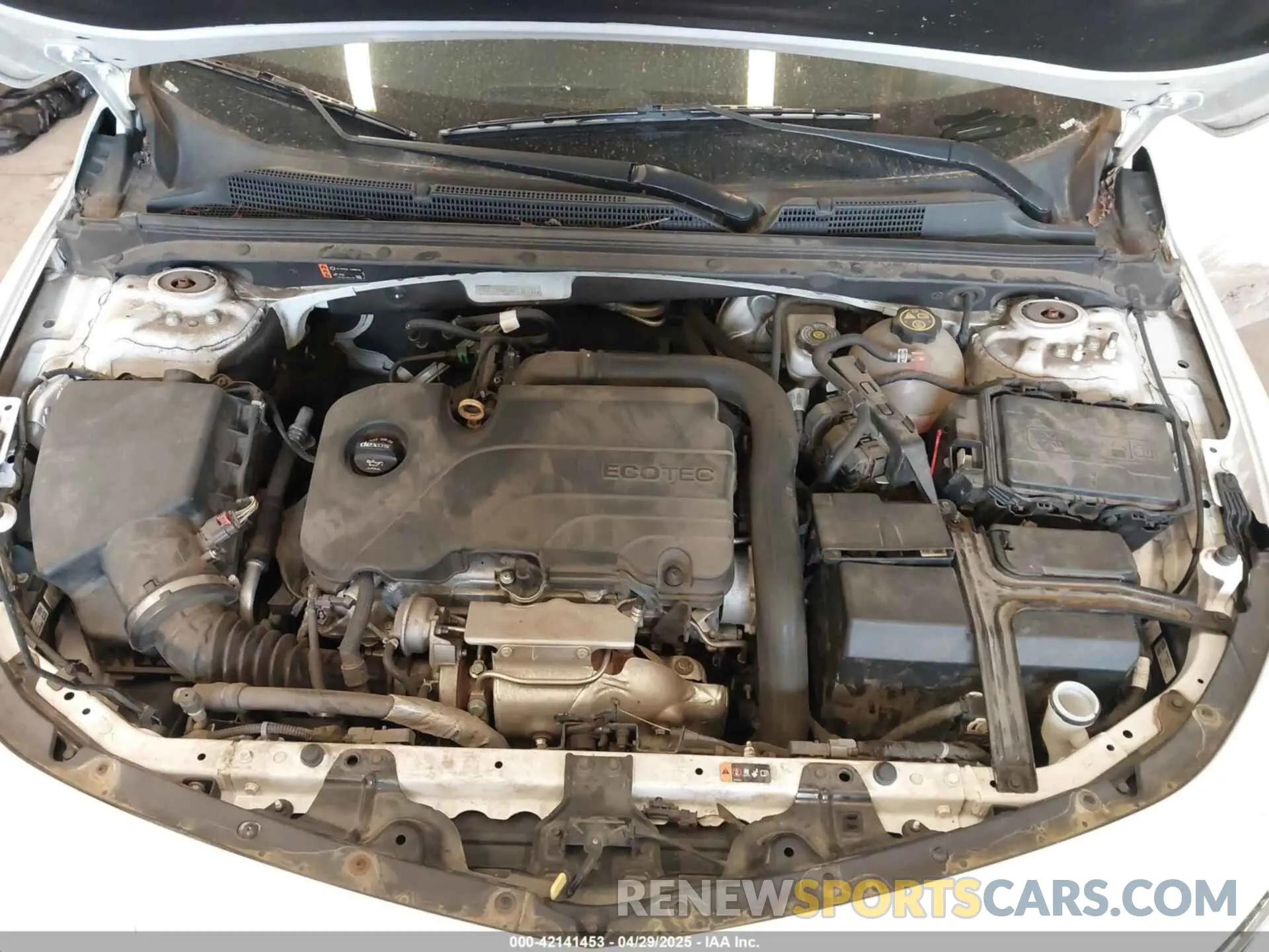 10 Photograph of a damaged car 1G1ZD5ST9KF175131 CHEVROLET MALIBU 2019