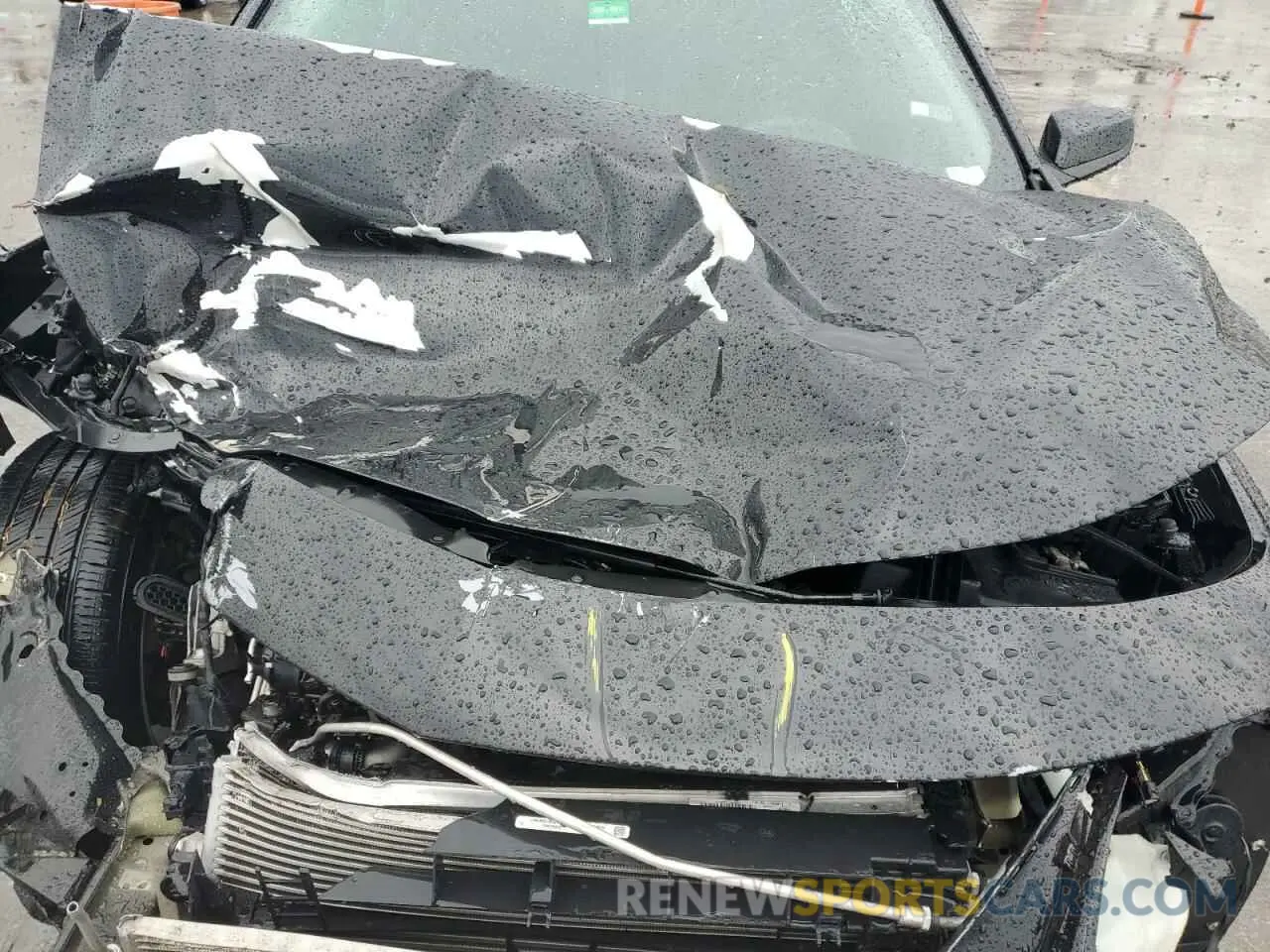 13 Photograph of a damaged car 1G1ZD5STXKF167118 CHEVROLET MALIBU 2019