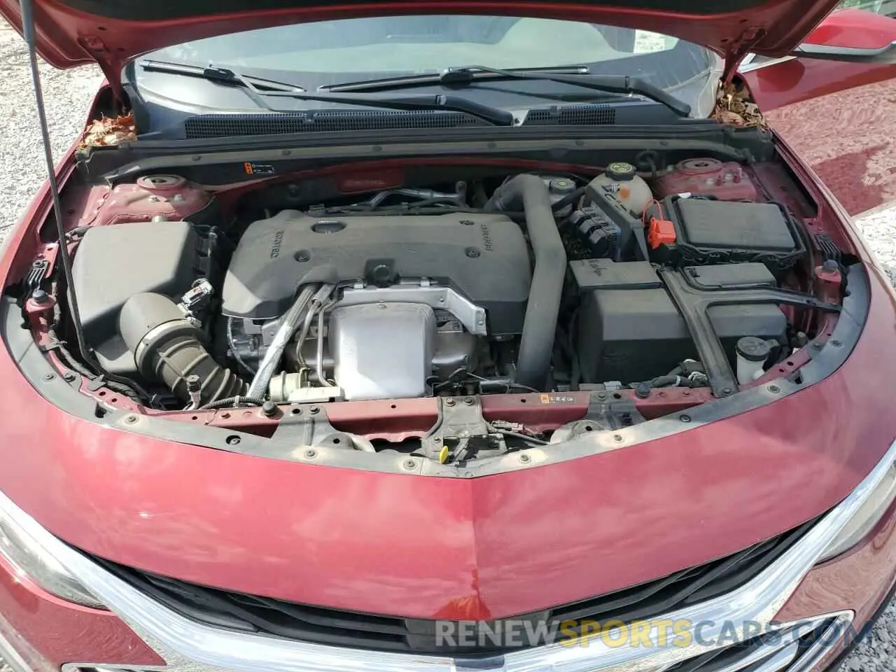 11 Photograph of a damaged car 1G1ZE5SX1KF149476 CHEVROLET MALIBU 2019