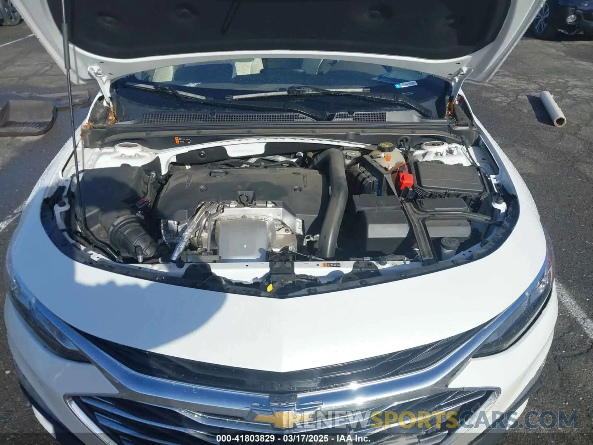 10 Photograph of a damaged car 1G1ZE5SX5KF151196 CHEVROLET MALIBU 2019