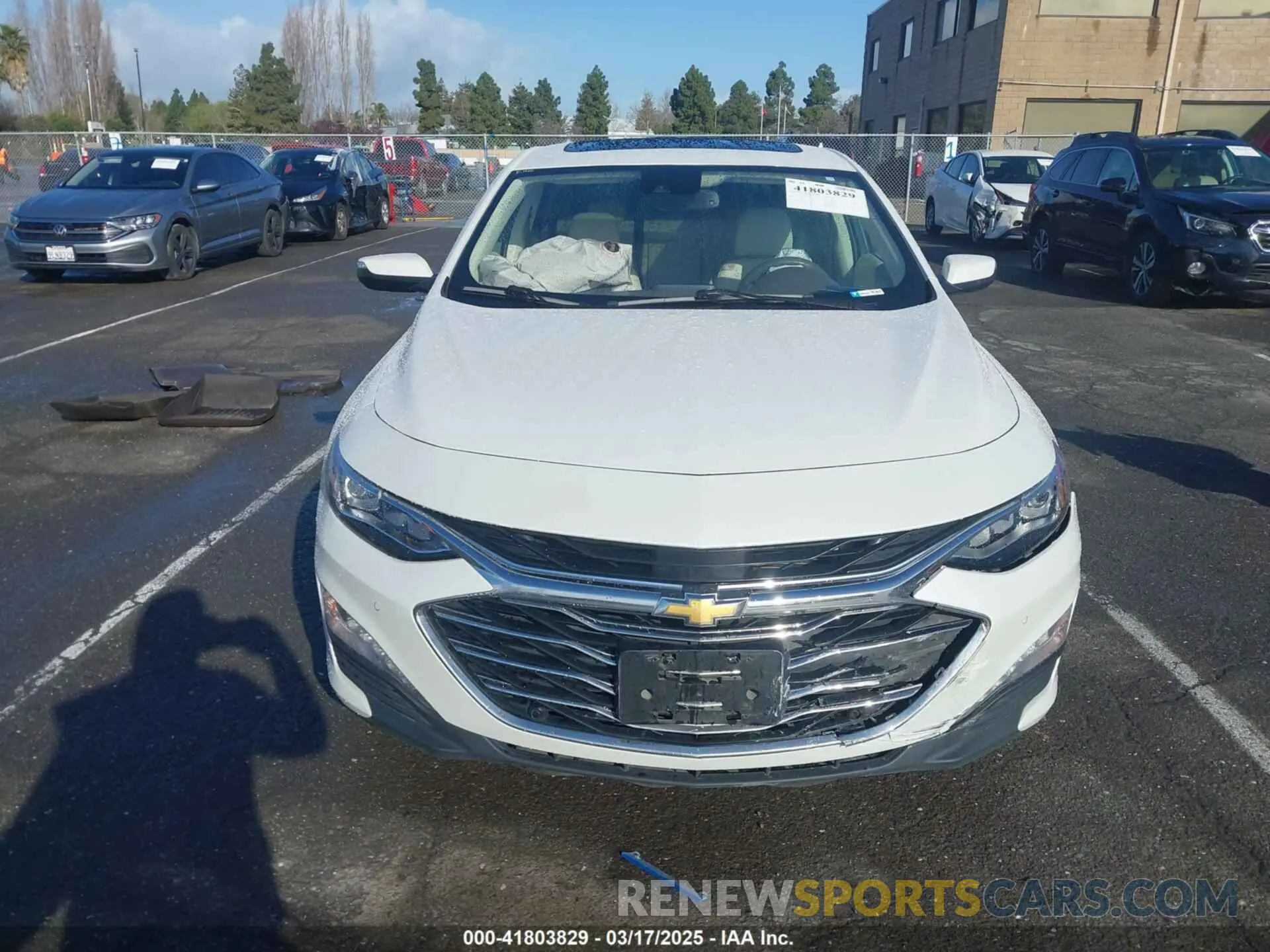 12 Photograph of a damaged car 1G1ZE5SX5KF151196 CHEVROLET MALIBU 2019
