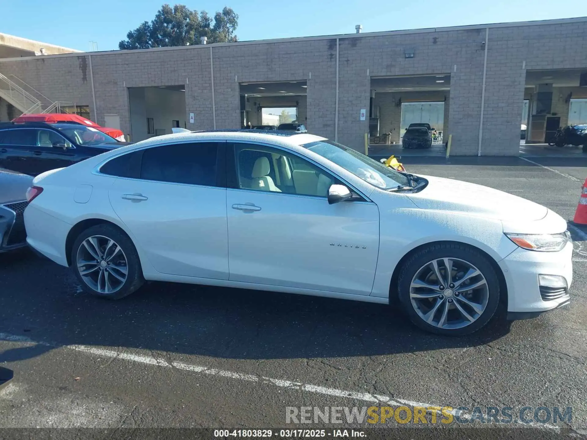 13 Photograph of a damaged car 1G1ZE5SX5KF151196 CHEVROLET MALIBU 2019