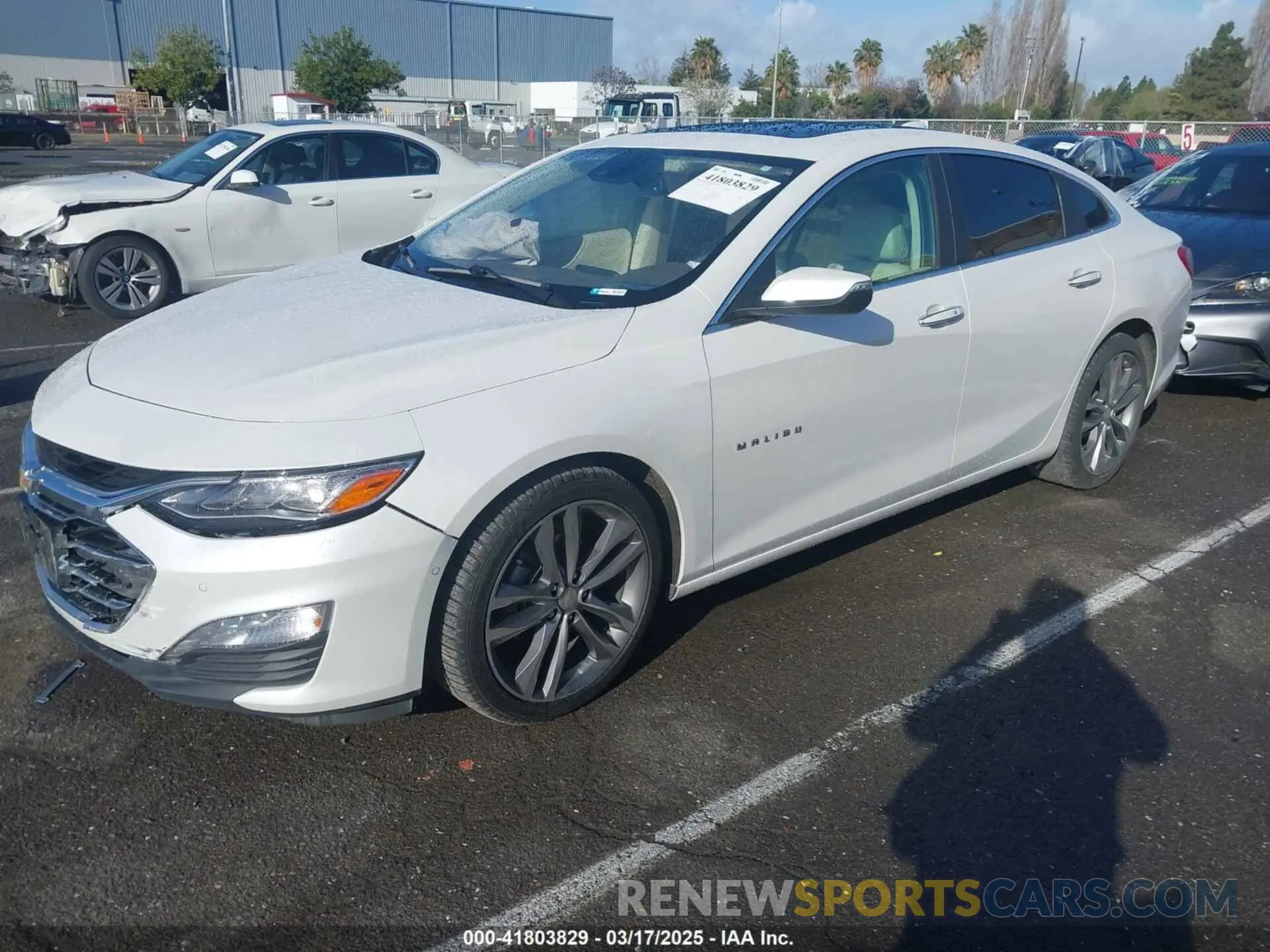 2 Photograph of a damaged car 1G1ZE5SX5KF151196 CHEVROLET MALIBU 2019