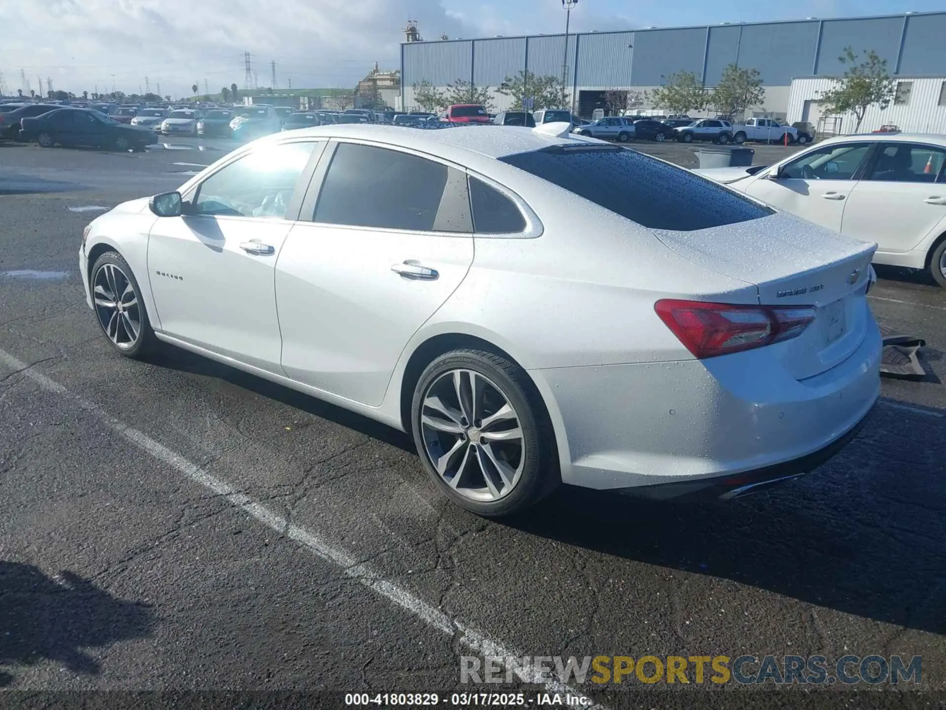 3 Photograph of a damaged car 1G1ZE5SX5KF151196 CHEVROLET MALIBU 2019