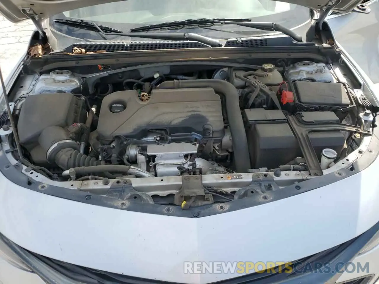 11 Photograph of a damaged car 1G1ZG5ST0KF101345 CHEVROLET MALIBU 2019