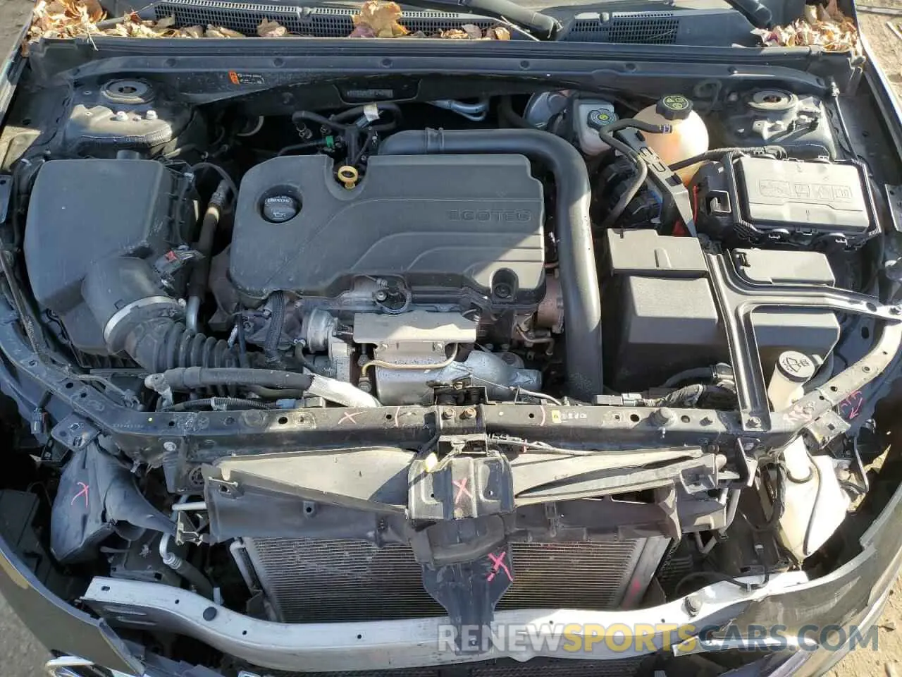 11 Photograph of a damaged car 1G1ZG5ST0KF190902 CHEVROLET MALIBU 2019