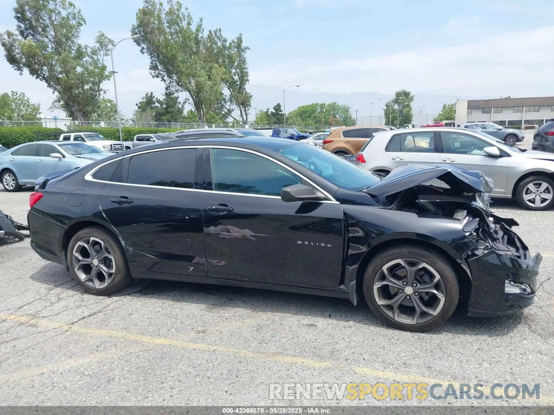13 Photograph of a damaged car 1G1ZG5ST5KF198431 CHEVROLET MALIBU 2019
