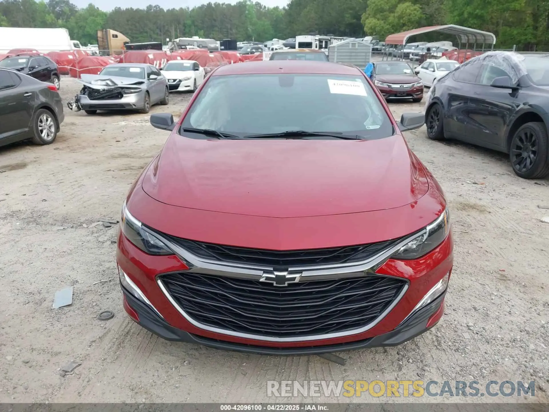 12 Photograph of a damaged car 1G1ZG5ST5KF214210 CHEVROLET MALIBU 2019
