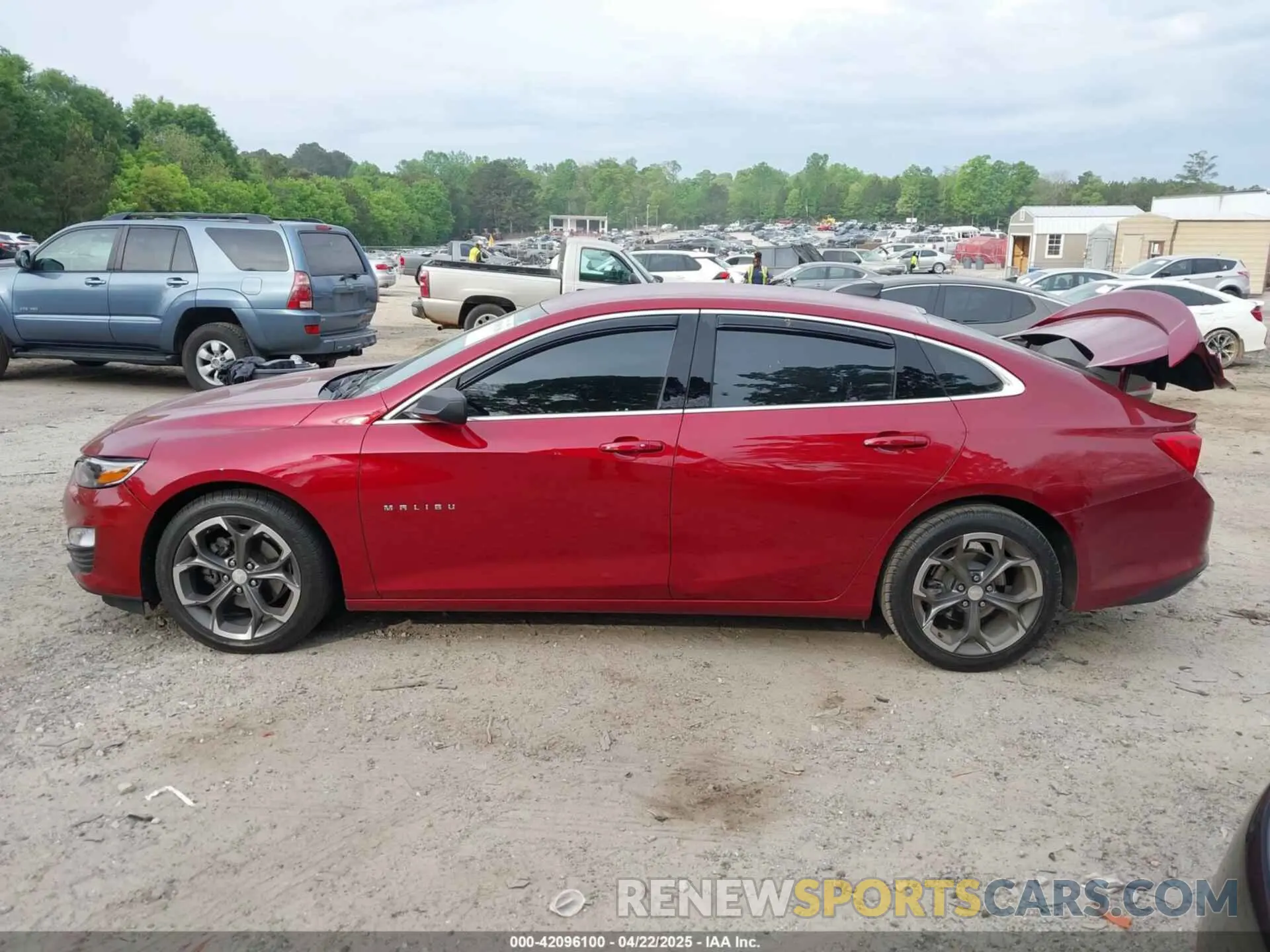14 Photograph of a damaged car 1G1ZG5ST5KF214210 CHEVROLET MALIBU 2019