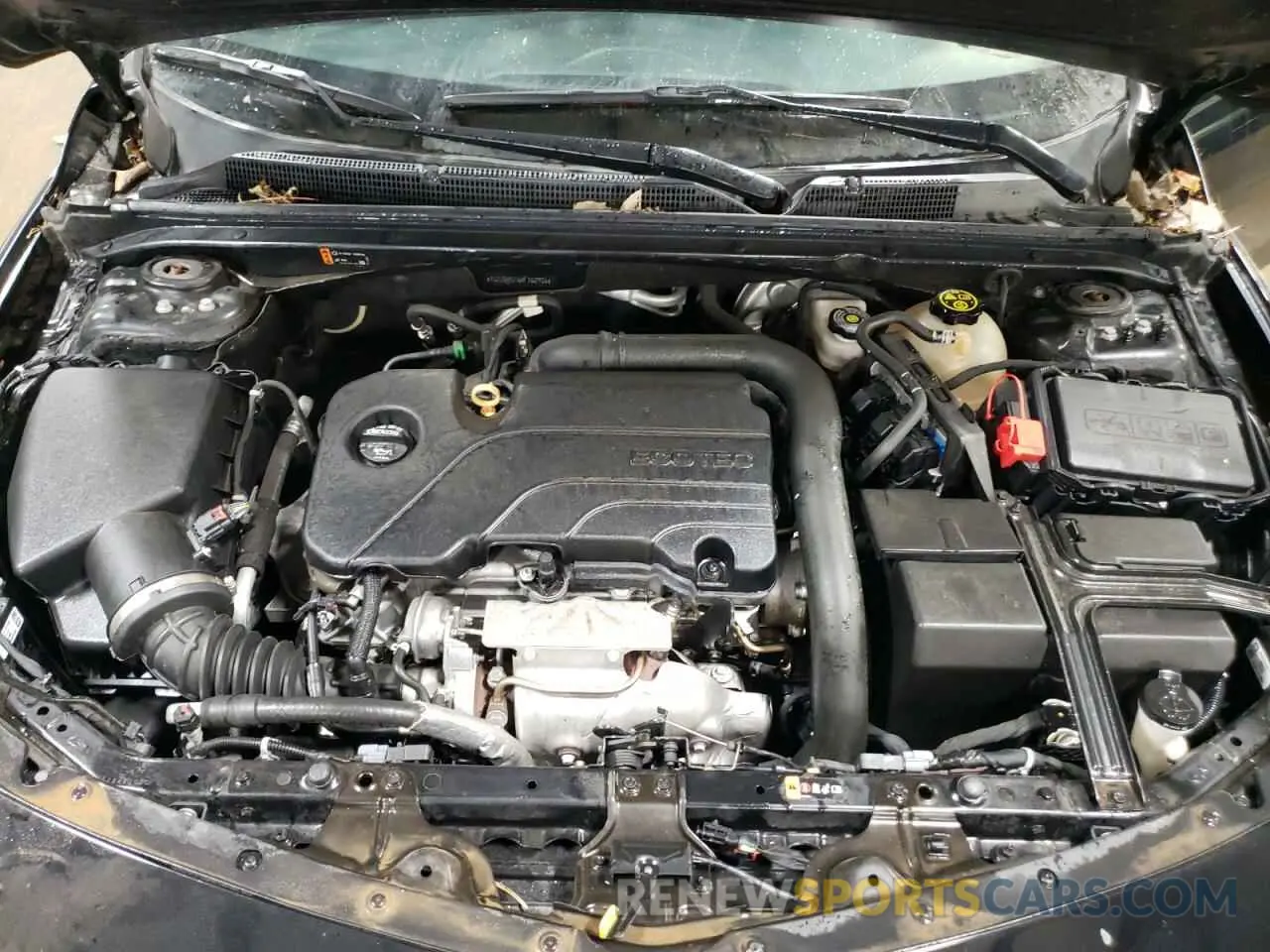 11 Photograph of a damaged car 1G1ZG5ST6KF162926 CHEVROLET MALIBU 2019