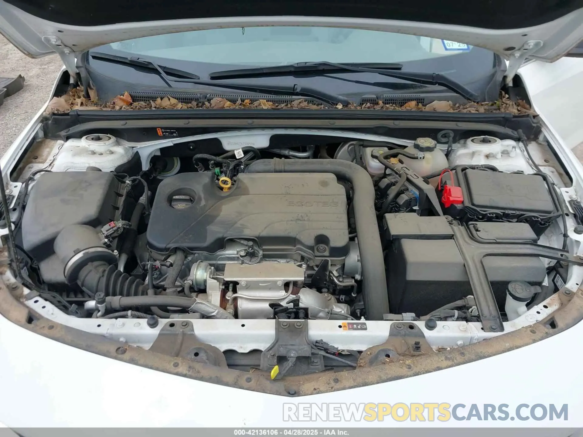 10 Photograph of a damaged car 1G1ZB5ST3LF076974 CHEVROLET MALIBU 2020