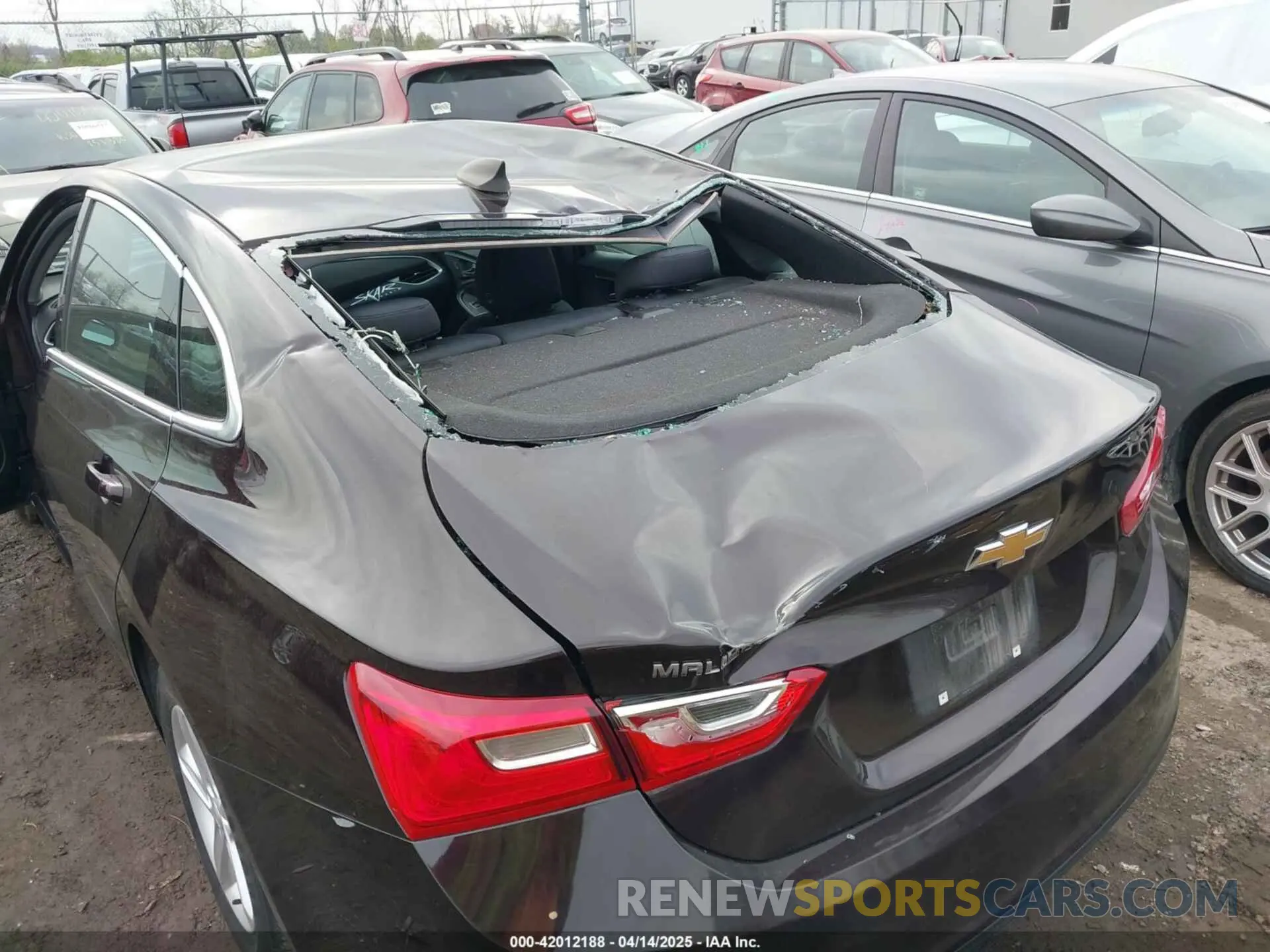 6 Photograph of a damaged car 1G1ZB5ST6LF127402 CHEVROLET MALIBU 2020