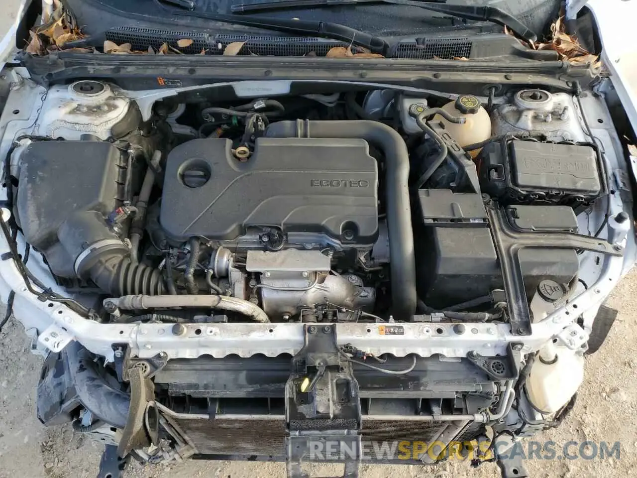 11 Photograph of a damaged car 1G1ZB5ST7LF150560 CHEVROLET MALIBU 2020