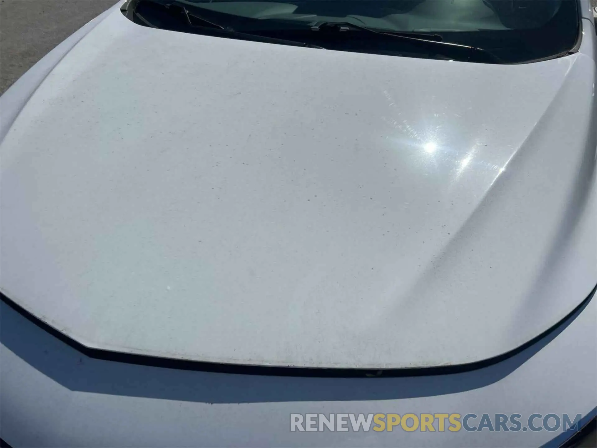 24 Photograph of a damaged car 1G1ZC5ST4LF136340 CHEVROLET MALIBU 2020