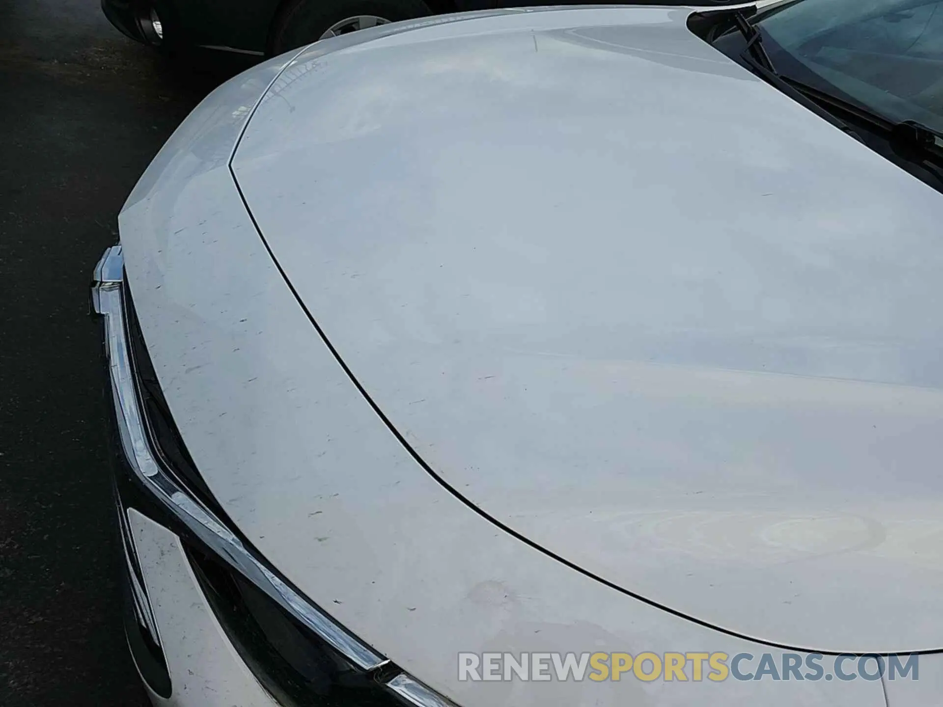 14 Photograph of a damaged car 1G1ZC5ST7LF081964 CHEVROLET MALIBU 2020