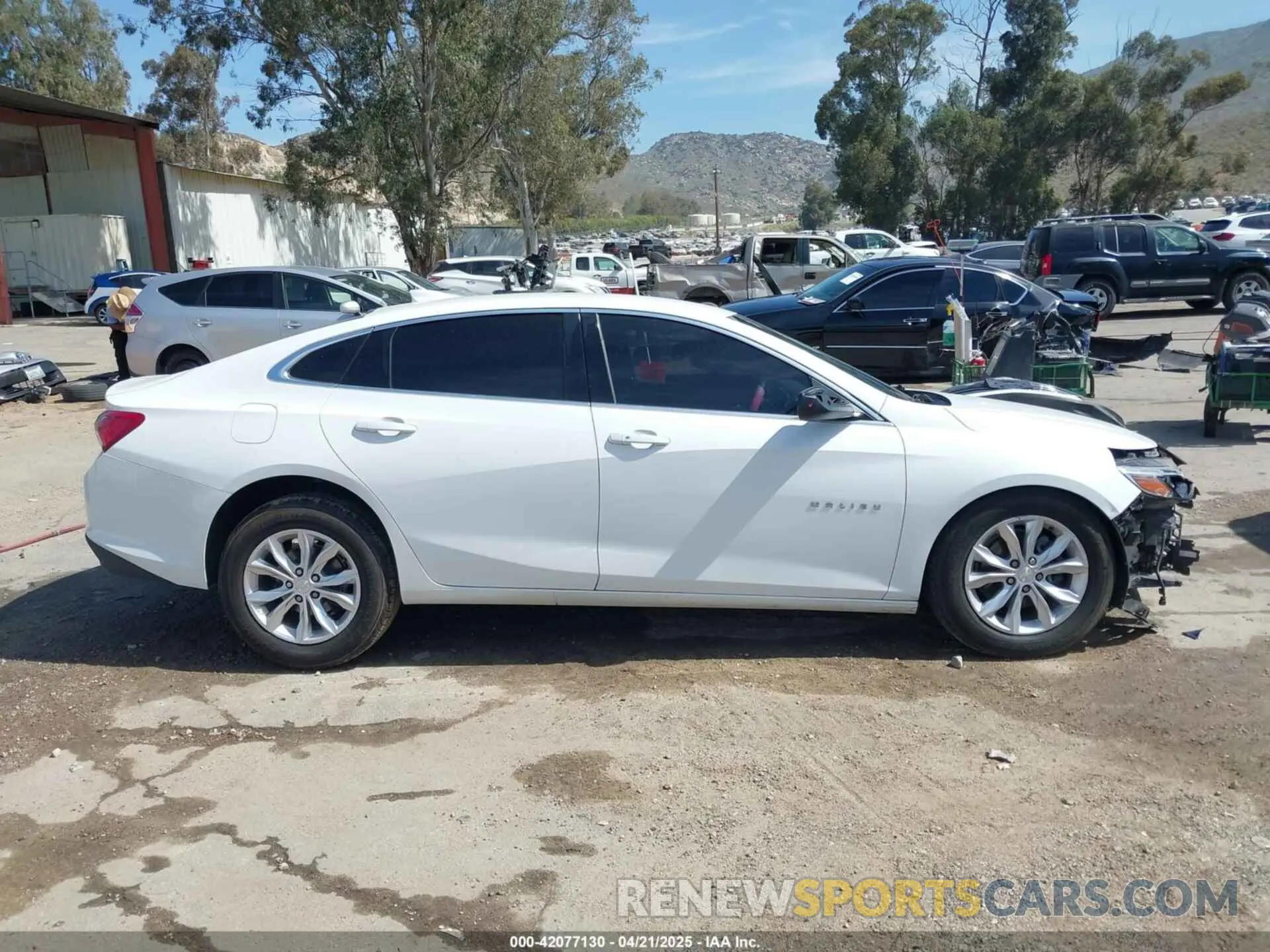 14 Photograph of a damaged car 1G1ZD5ST3LF025372 CHEVROLET MALIBU 2020