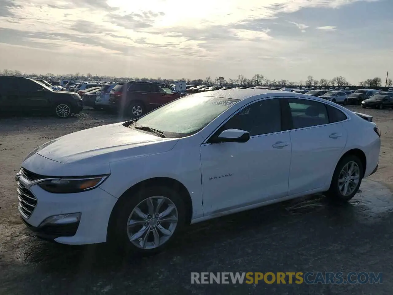 1 Photograph of a damaged car 1G1ZD5ST3LF096152 CHEVROLET MALIBU 2020