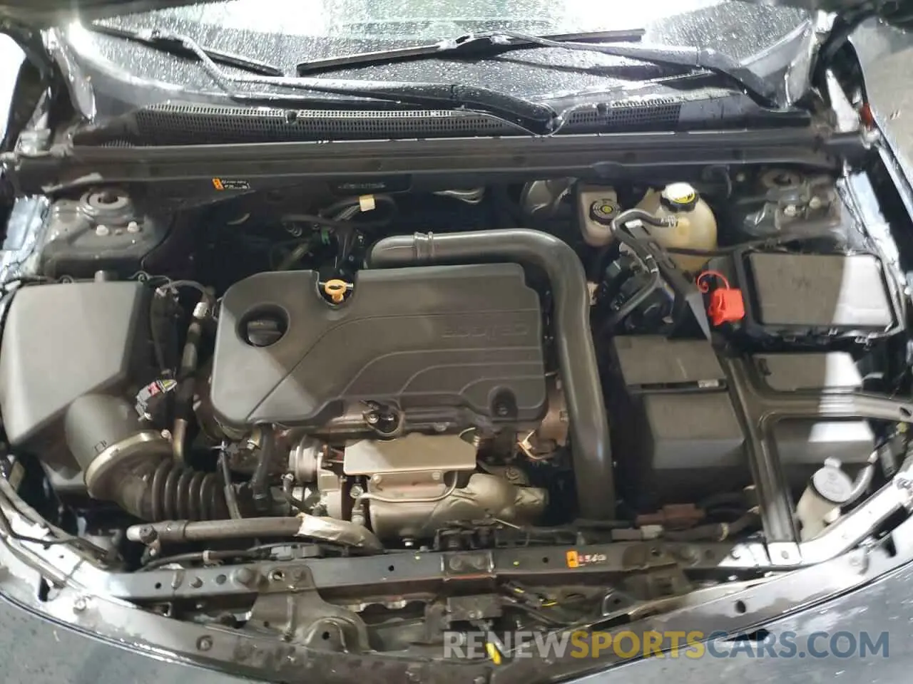 12 Photograph of a damaged car 1G1ZD5ST3LF113984 CHEVROLET MALIBU 2020