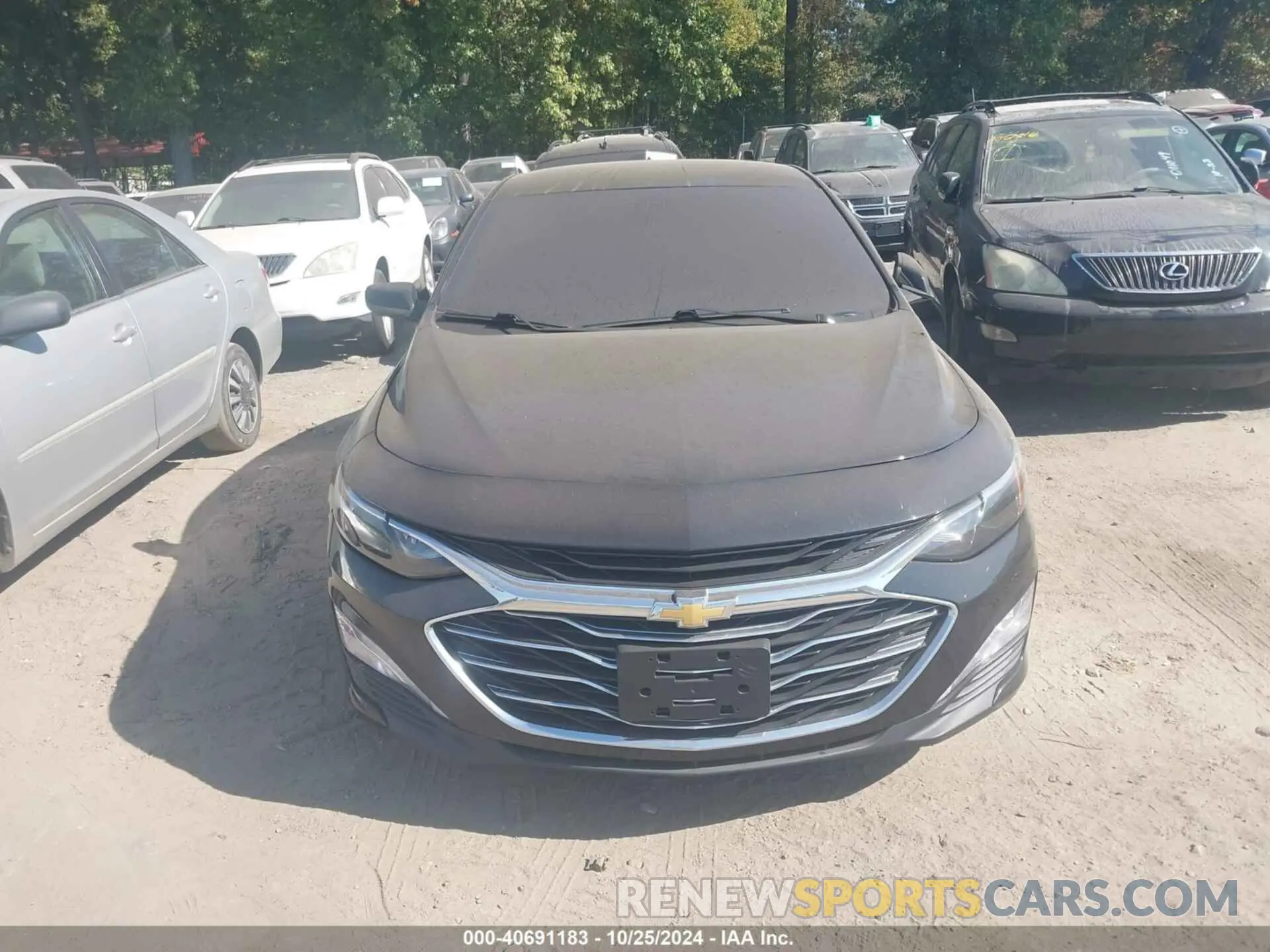 12 Photograph of a damaged car 1G1ZD5ST4LF094989 CHEVROLET MALIBU 2020