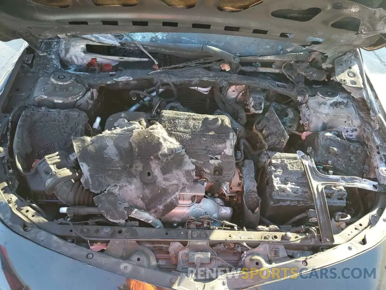11 Photograph of a damaged car 1G1ZD5ST5LF096881 CHEVROLET MALIBU 2020
