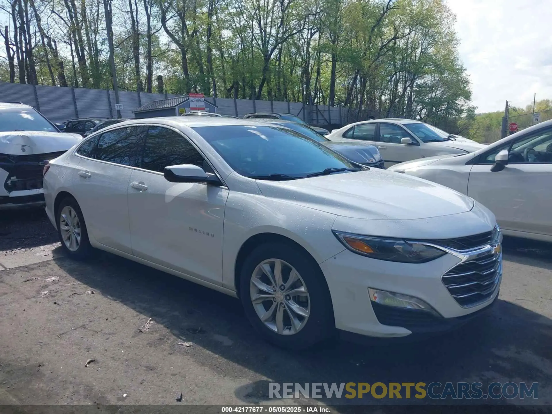 1 Photograph of a damaged car 1G1ZD5ST7LF006002 CHEVROLET MALIBU 2020