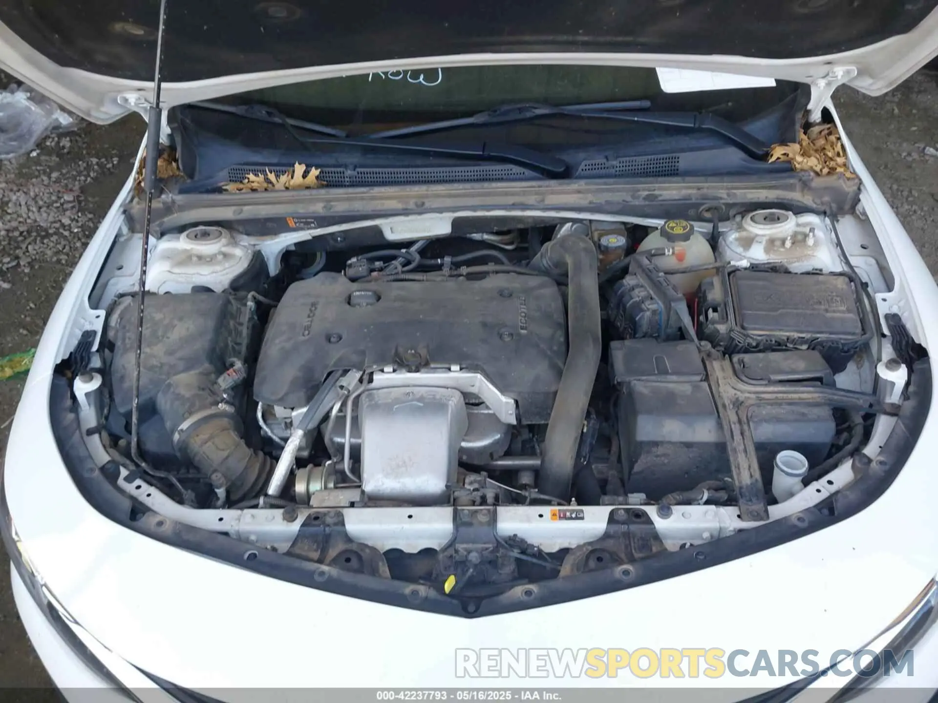 10 Photograph of a damaged car 1G1ZE5SX8LF028087 CHEVROLET MALIBU 2020