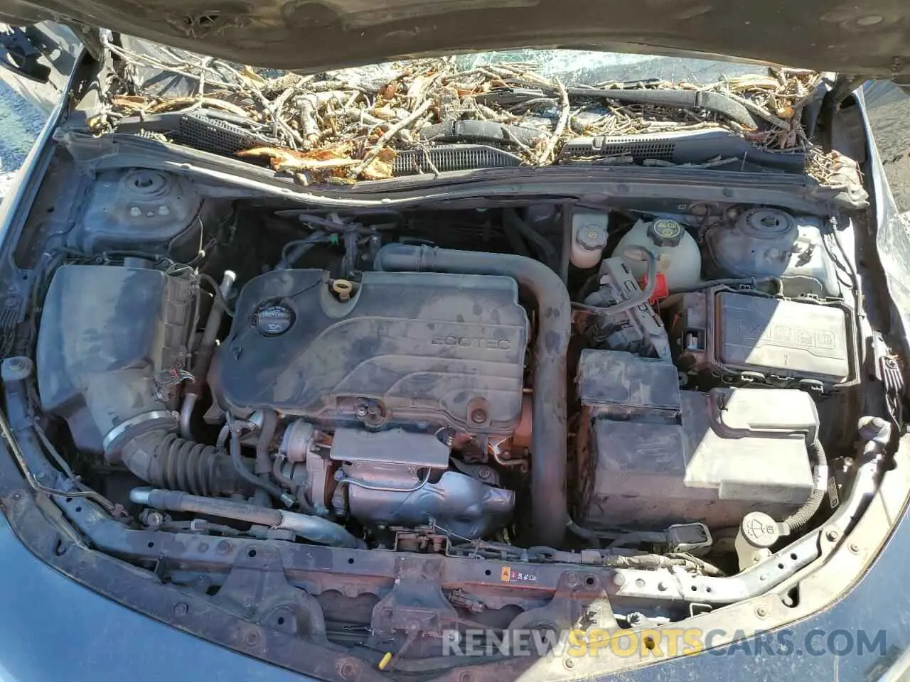 11 Photograph of a damaged car 1G1ZG5ST2LF026486 CHEVROLET MALIBU 2020