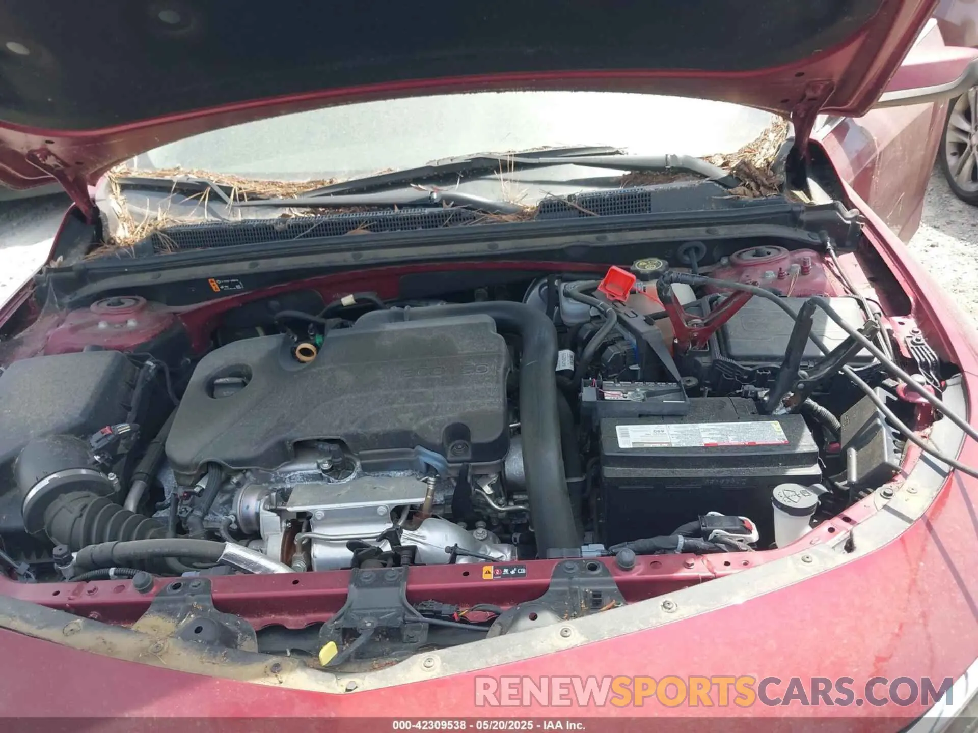 10 Photograph of a damaged car 1G1ZG5ST7LF133825 CHEVROLET MALIBU 2020