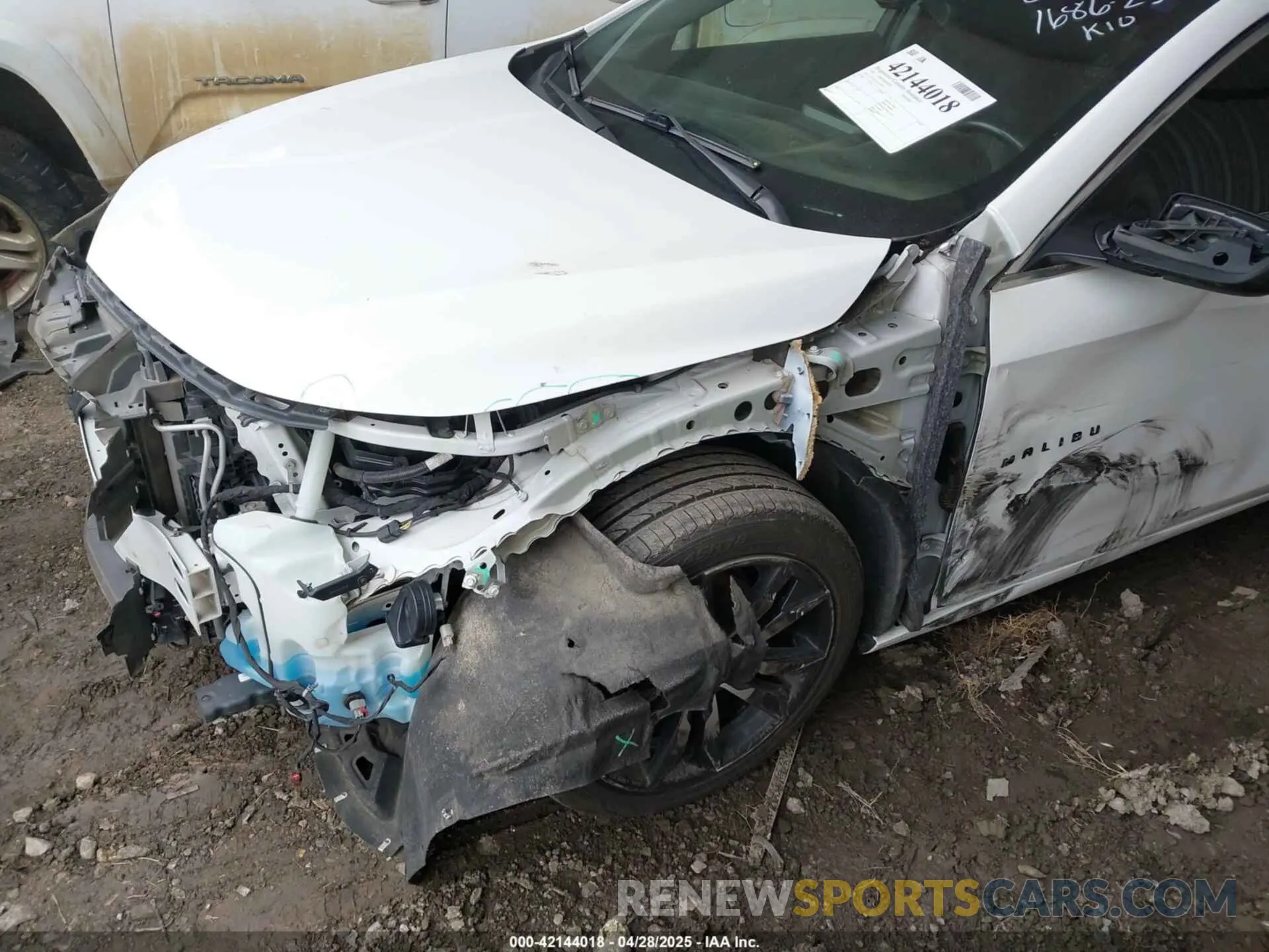 19 Photograph of a damaged car 1G1ZG5ST9LF079203 CHEVROLET MALIBU 2020