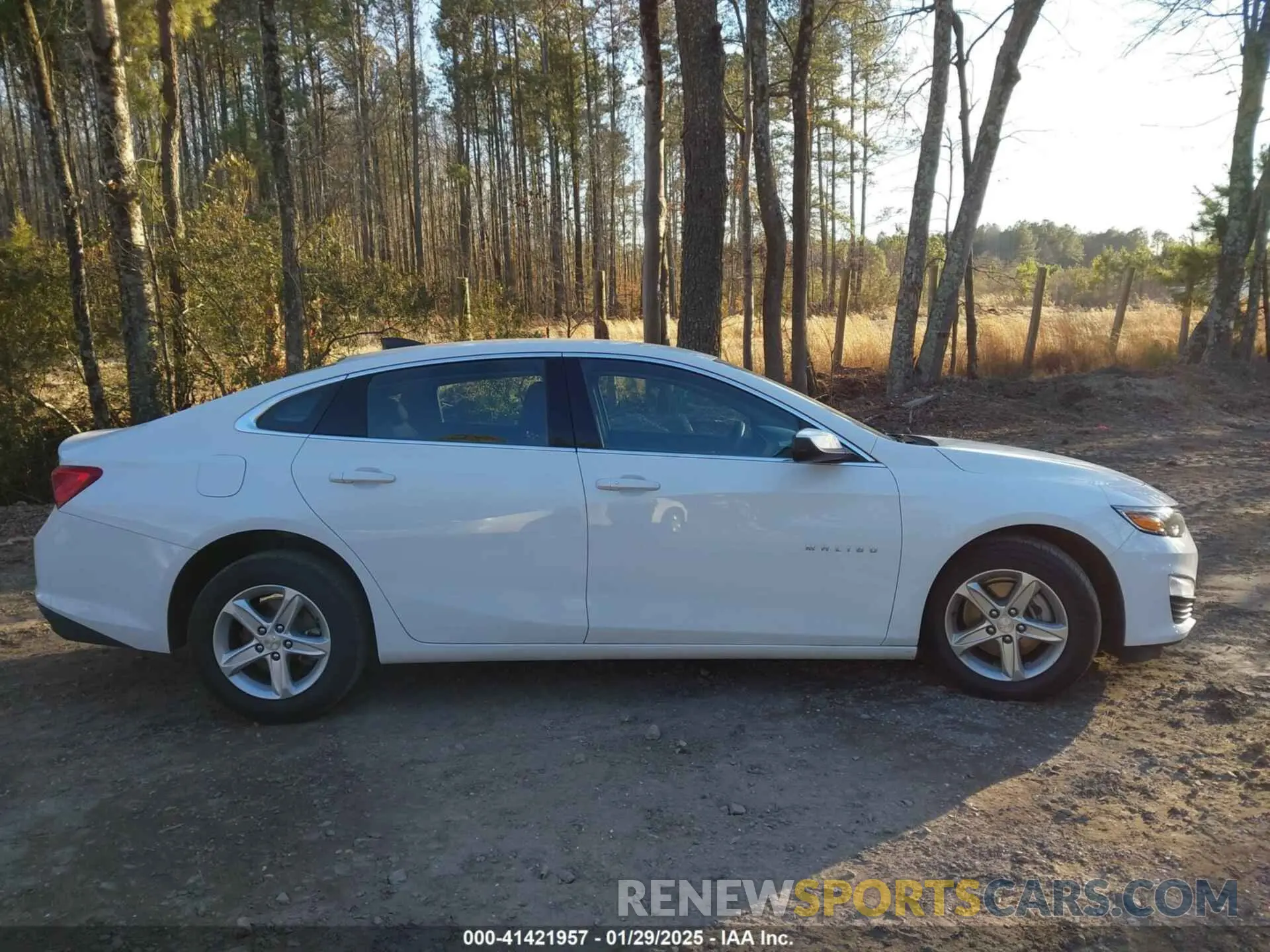 13 Photograph of a damaged car 1G1ZC5ST1MF087695 CHEVROLET MALIBU 2021