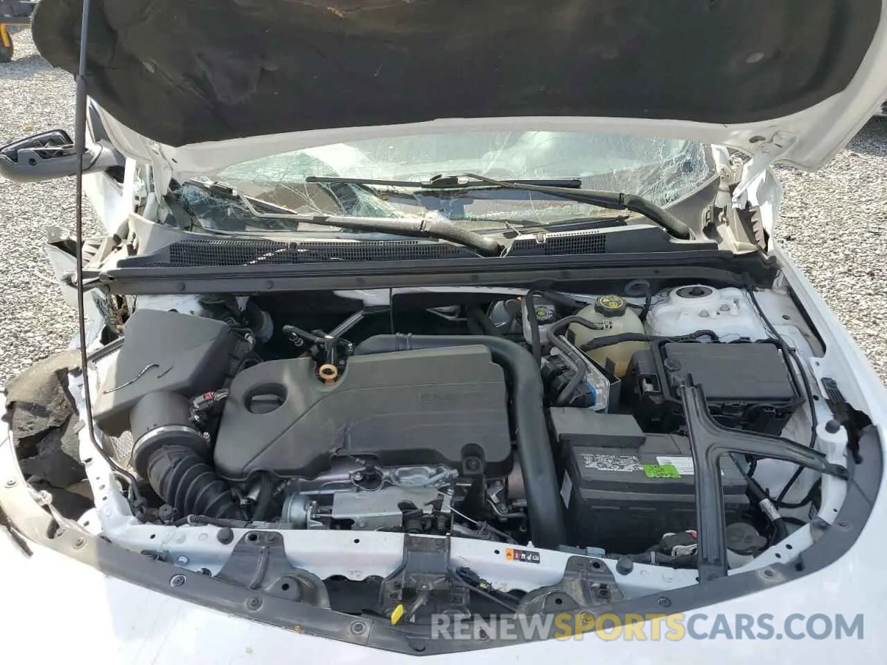 11 Photograph of a damaged car 1G1ZC5ST3MF087195 CHEVROLET MALIBU 2021