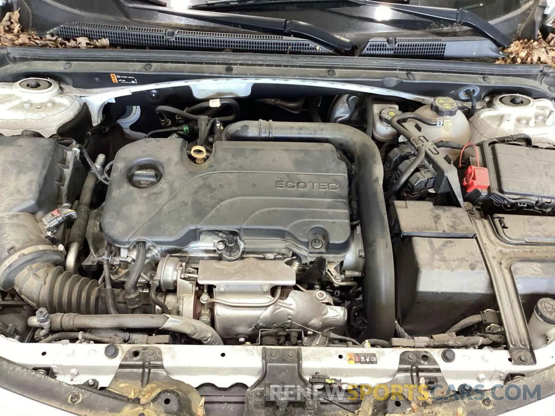 31 Photograph of a damaged car 1G1ZC5ST6MF077776 CHEVROLET MALIBU 2021