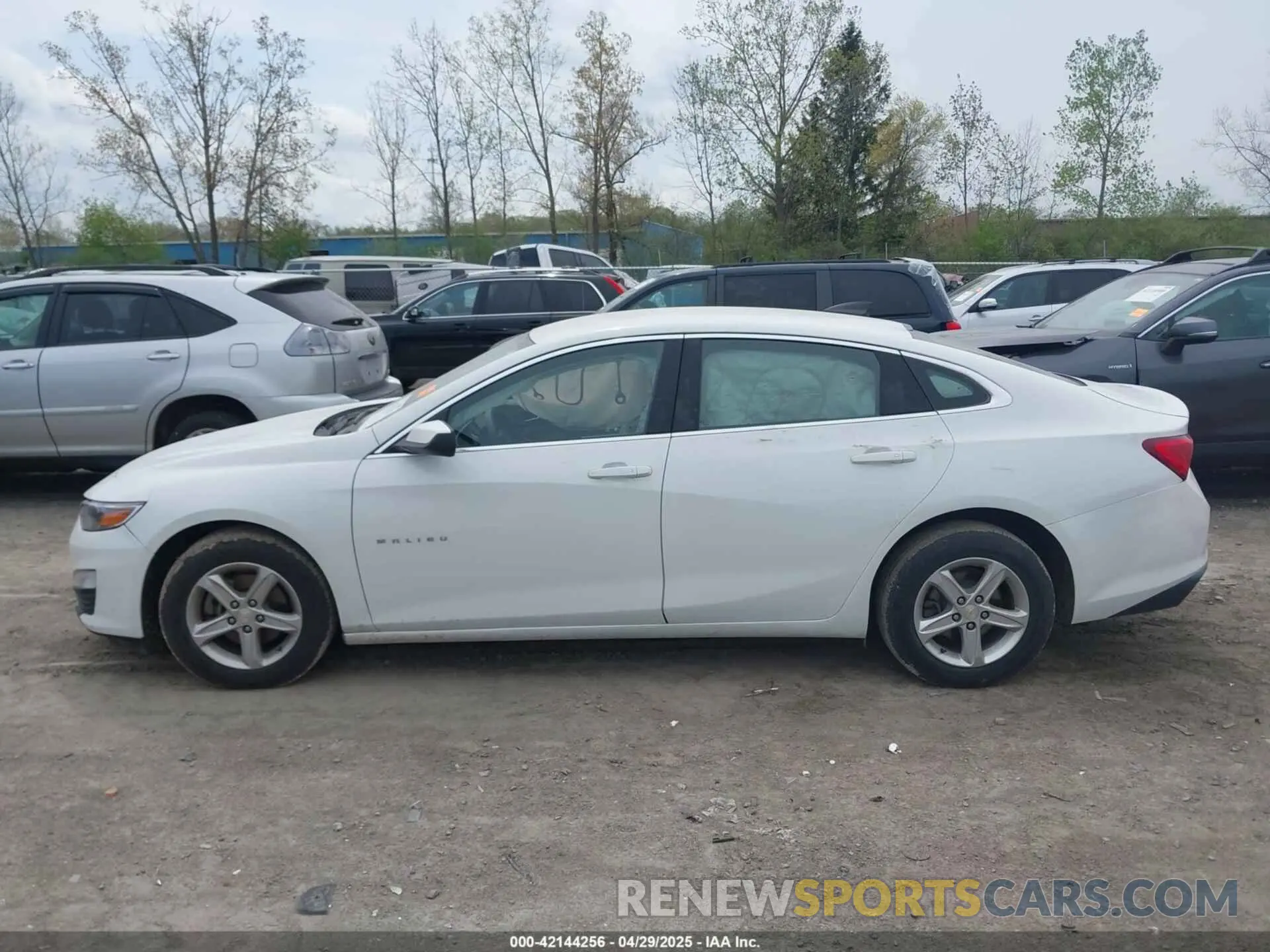 14 Photograph of a damaged car 1G1ZC5ST8MF042446 CHEVROLET MALIBU 2021