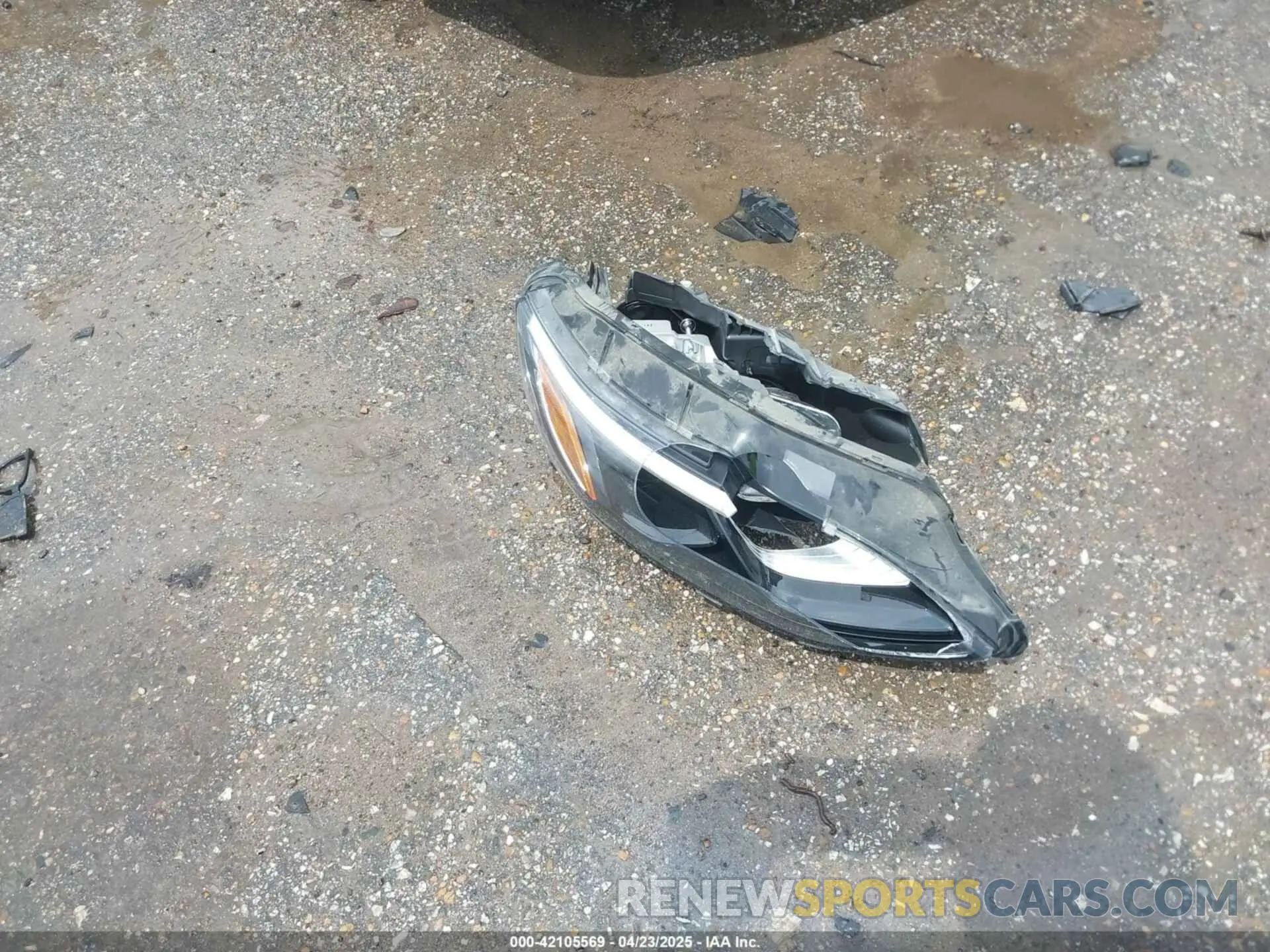 12 Photograph of a damaged car 1G1ZD5ST4MF076719 CHEVROLET MALIBU 2021