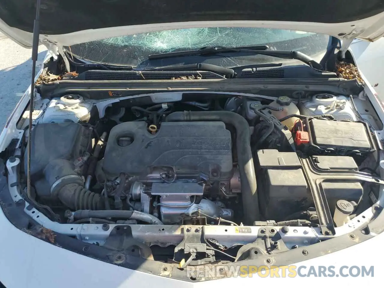12 Photograph of a damaged car 1G1ZD5ST4MF078244 CHEVROLET MALIBU 2021