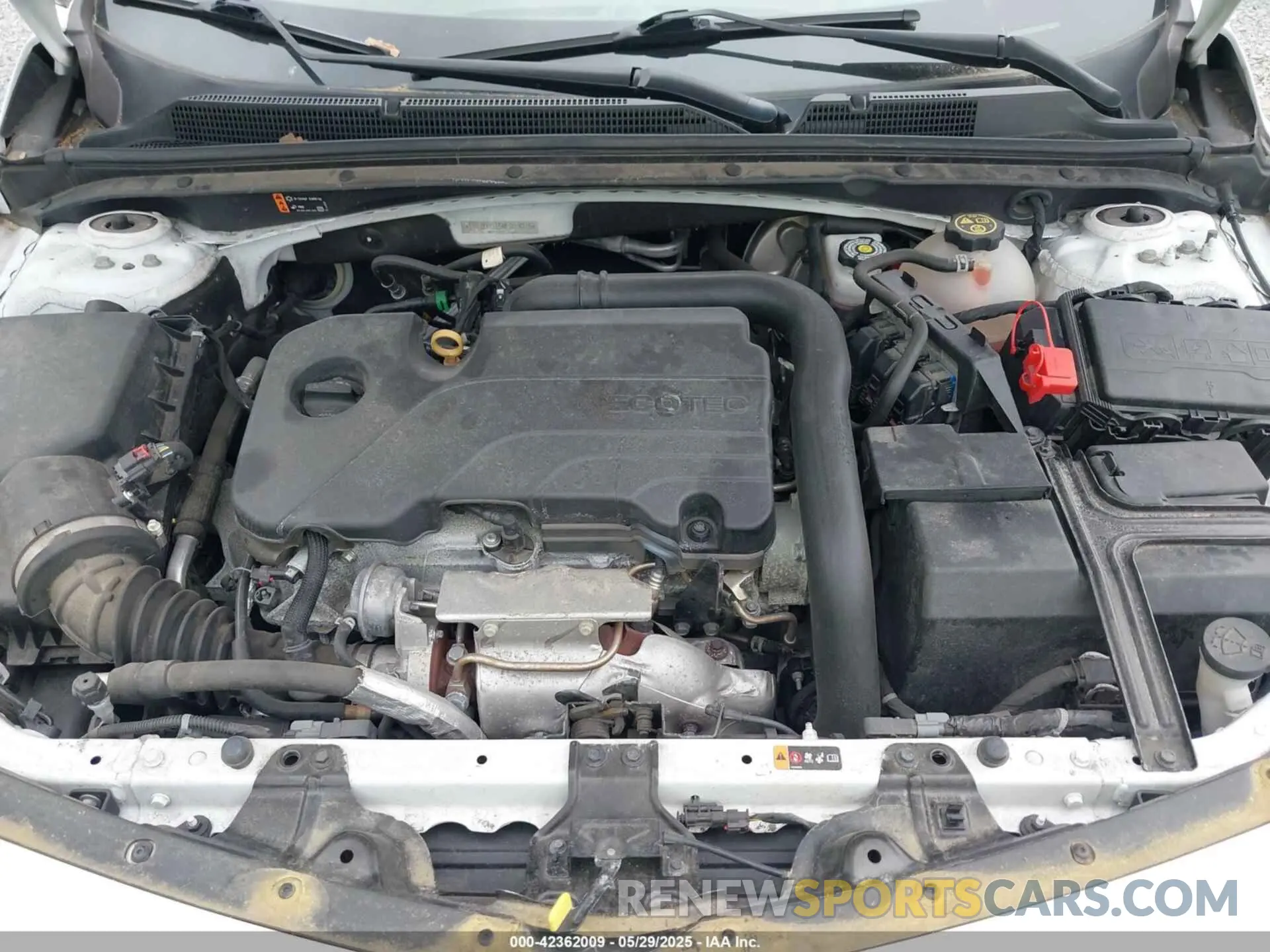 10 Photograph of a damaged car 1G1ZD5ST5MF013015 CHEVROLET MALIBU 2021
