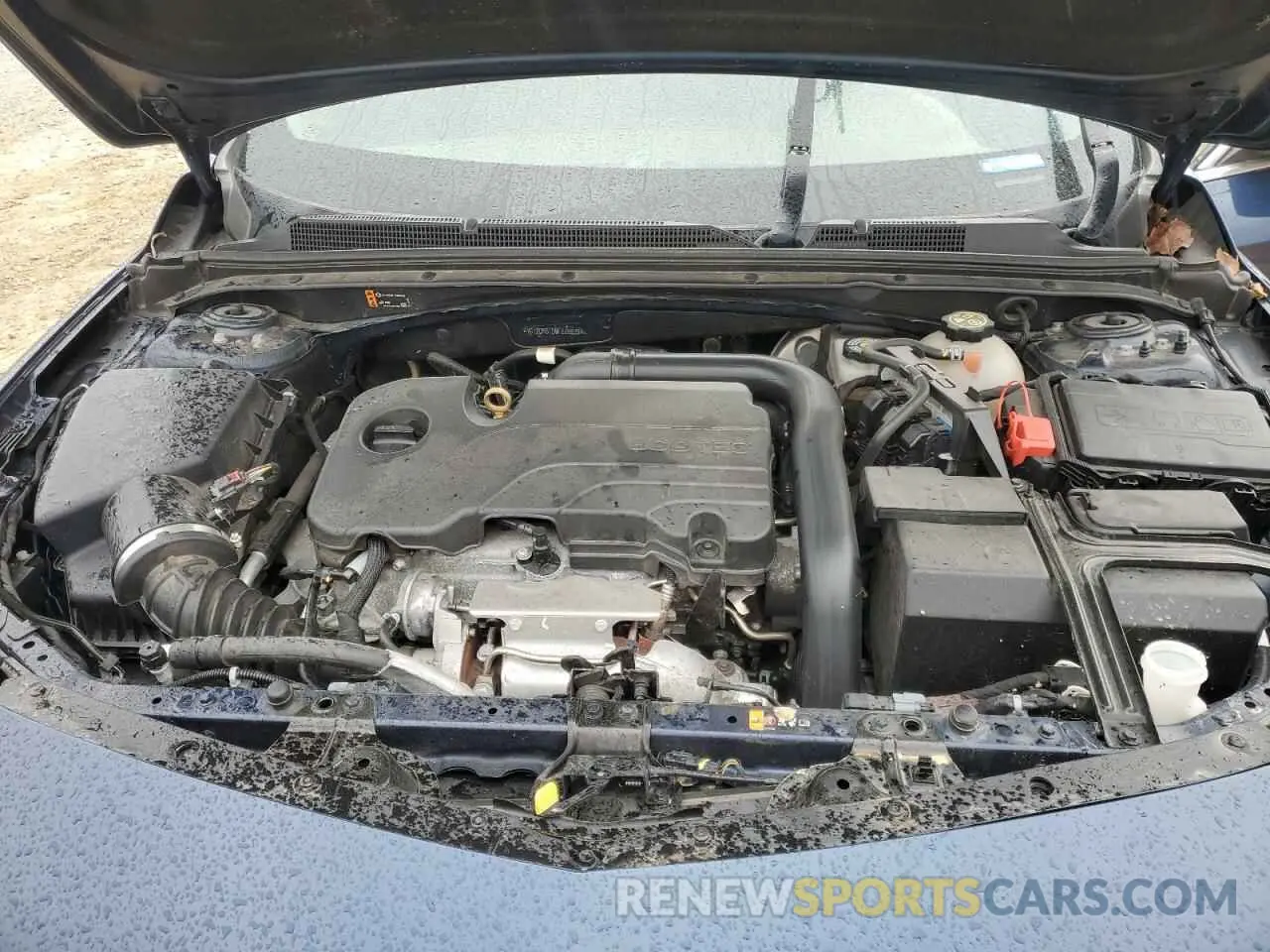 12 Photograph of a damaged car 1G1ZD5ST5MF029926 CHEVROLET MALIBU 2021